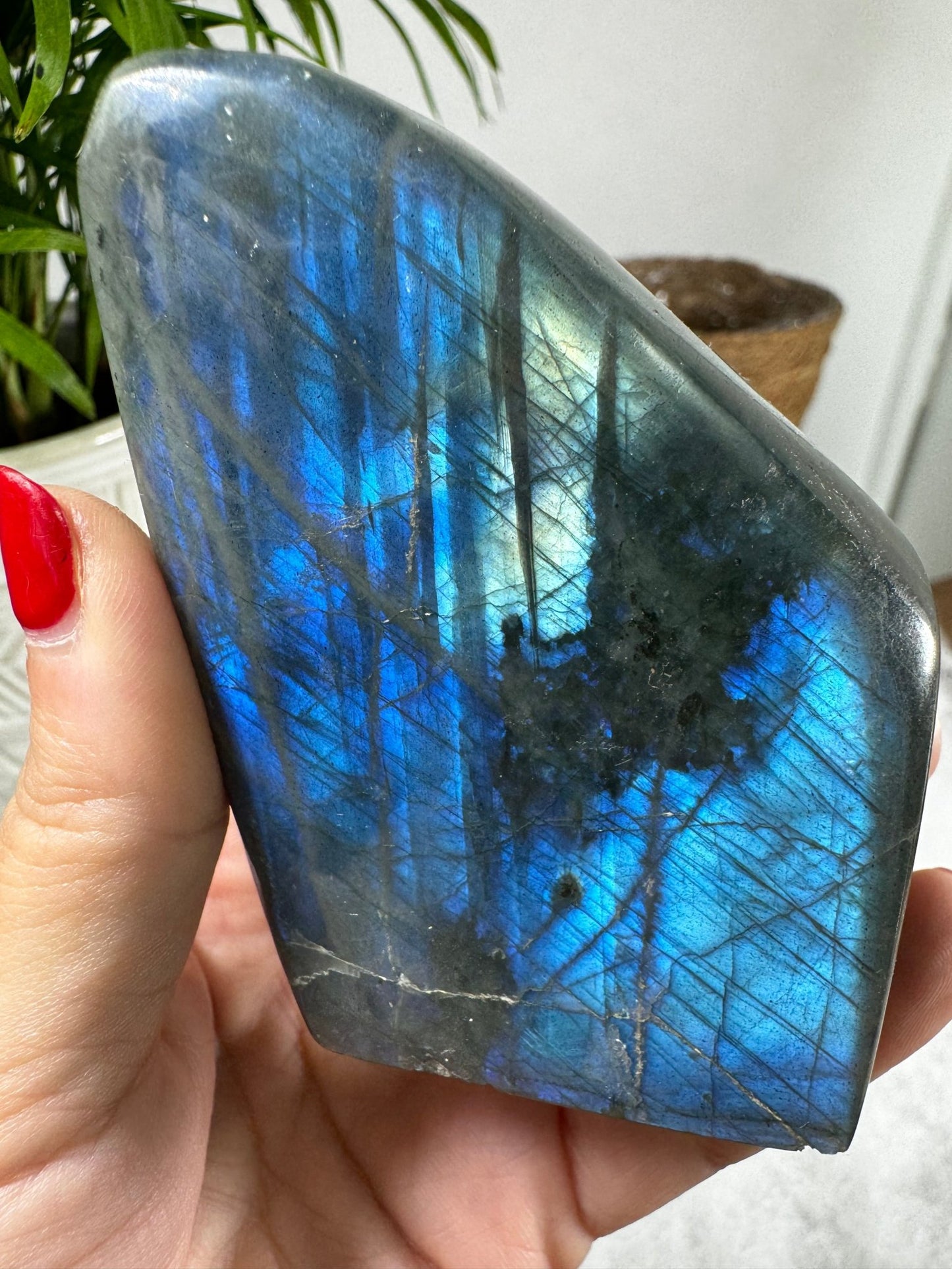 Labradorite Free Form | 260g - The Crystal Valley