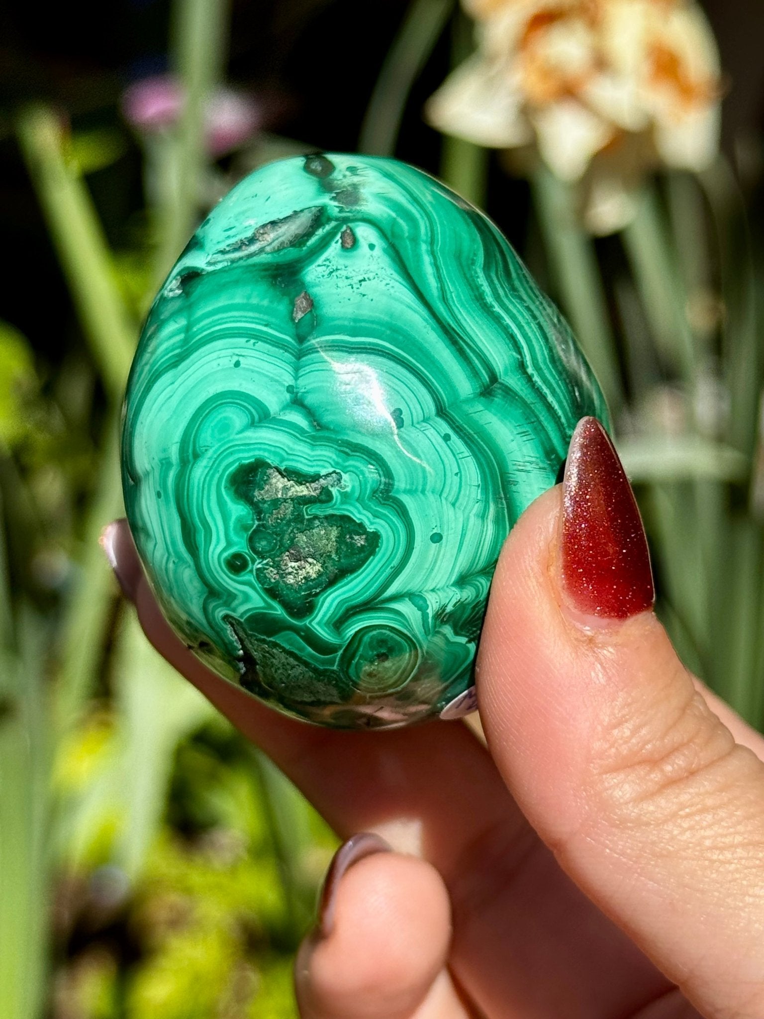 Malachite egg | 170g - The Crystal Valley