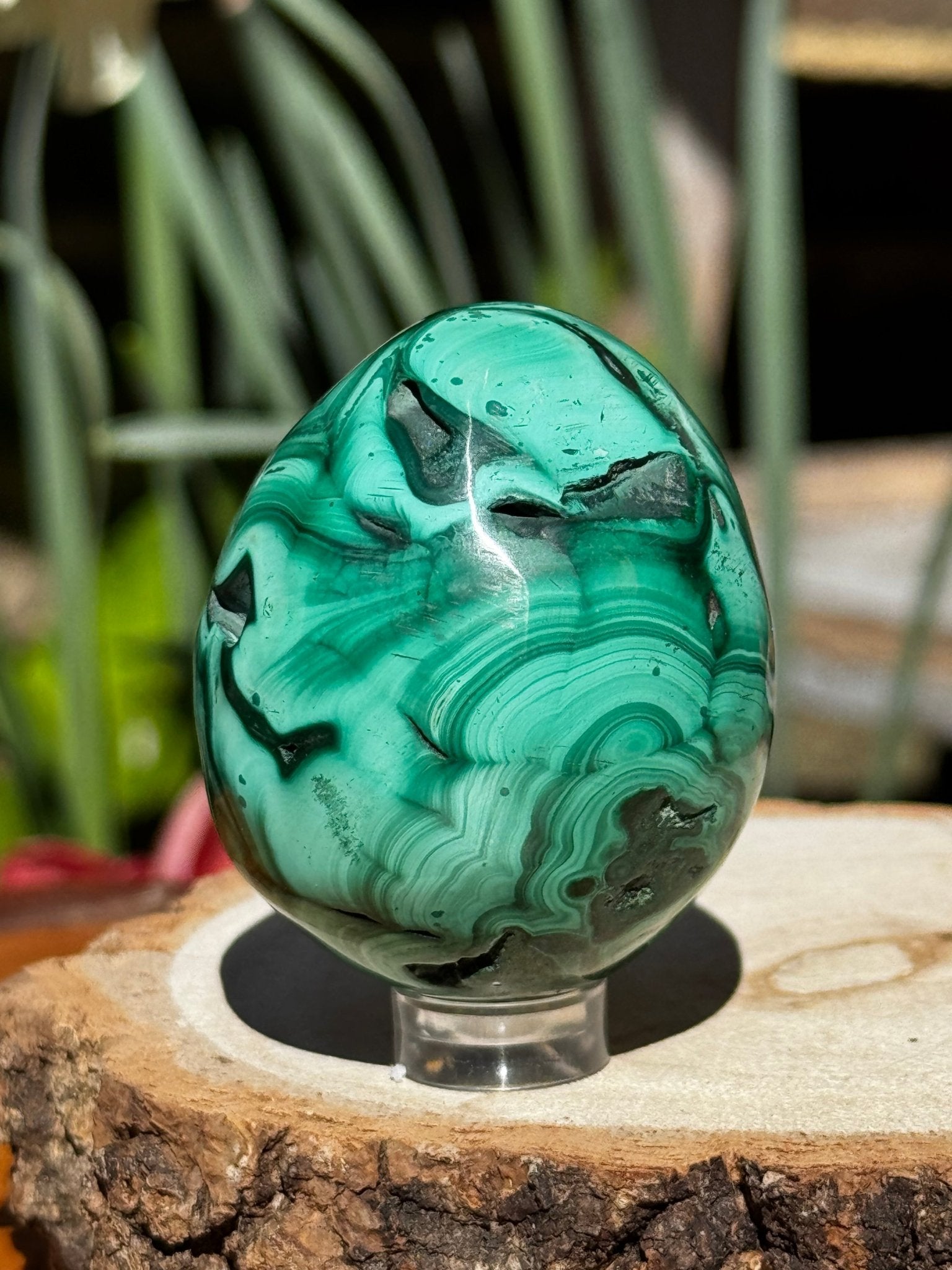 Malachite egg | 170g - The Crystal Valley