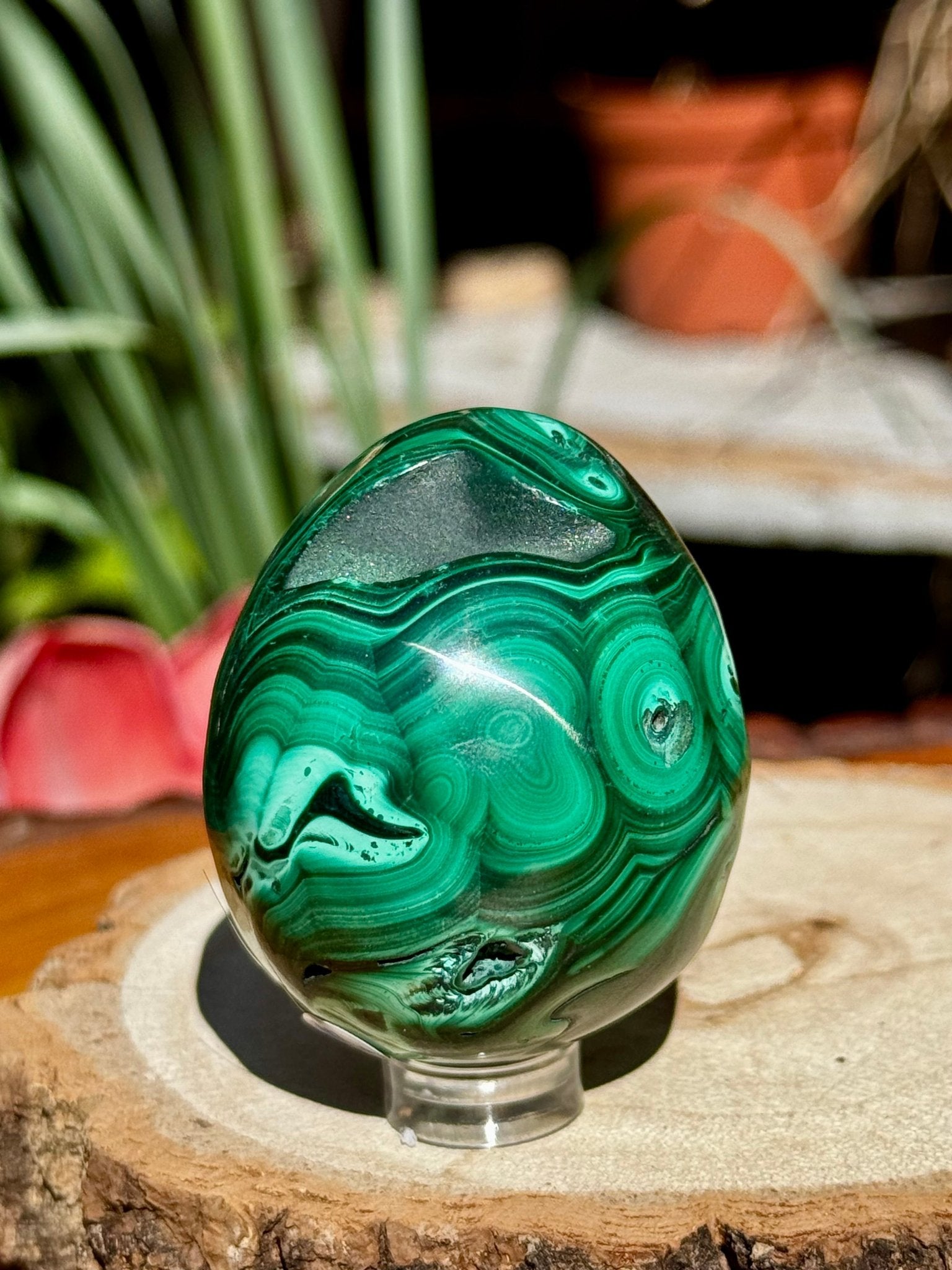 Malachite egg | 170g - The Crystal Valley