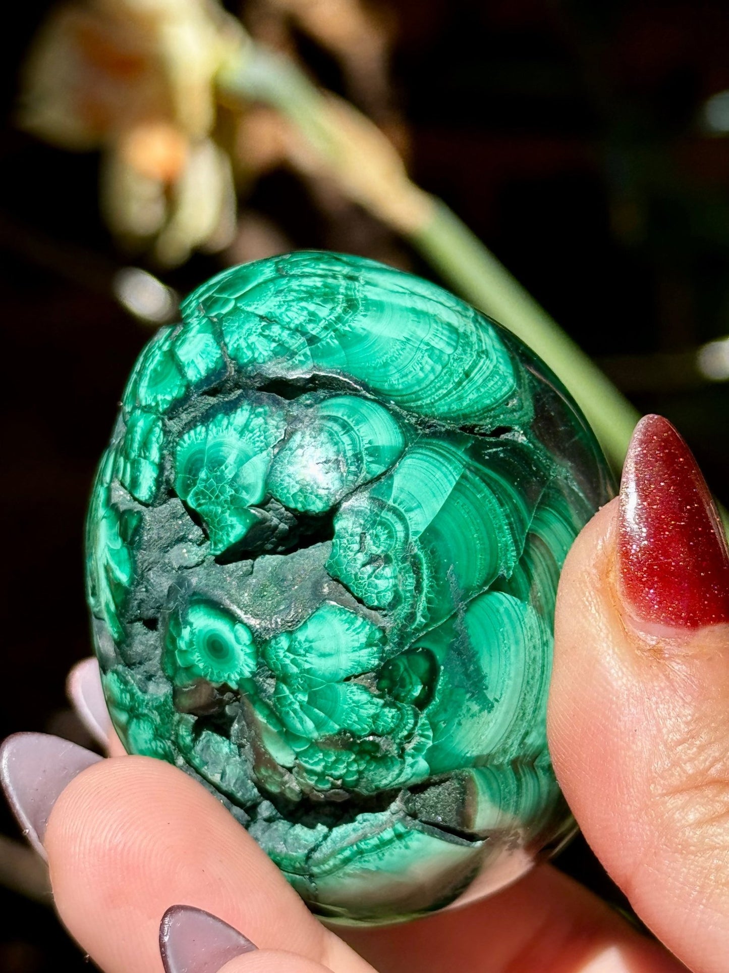 Malachite egg | 178g - The Crystal Valley