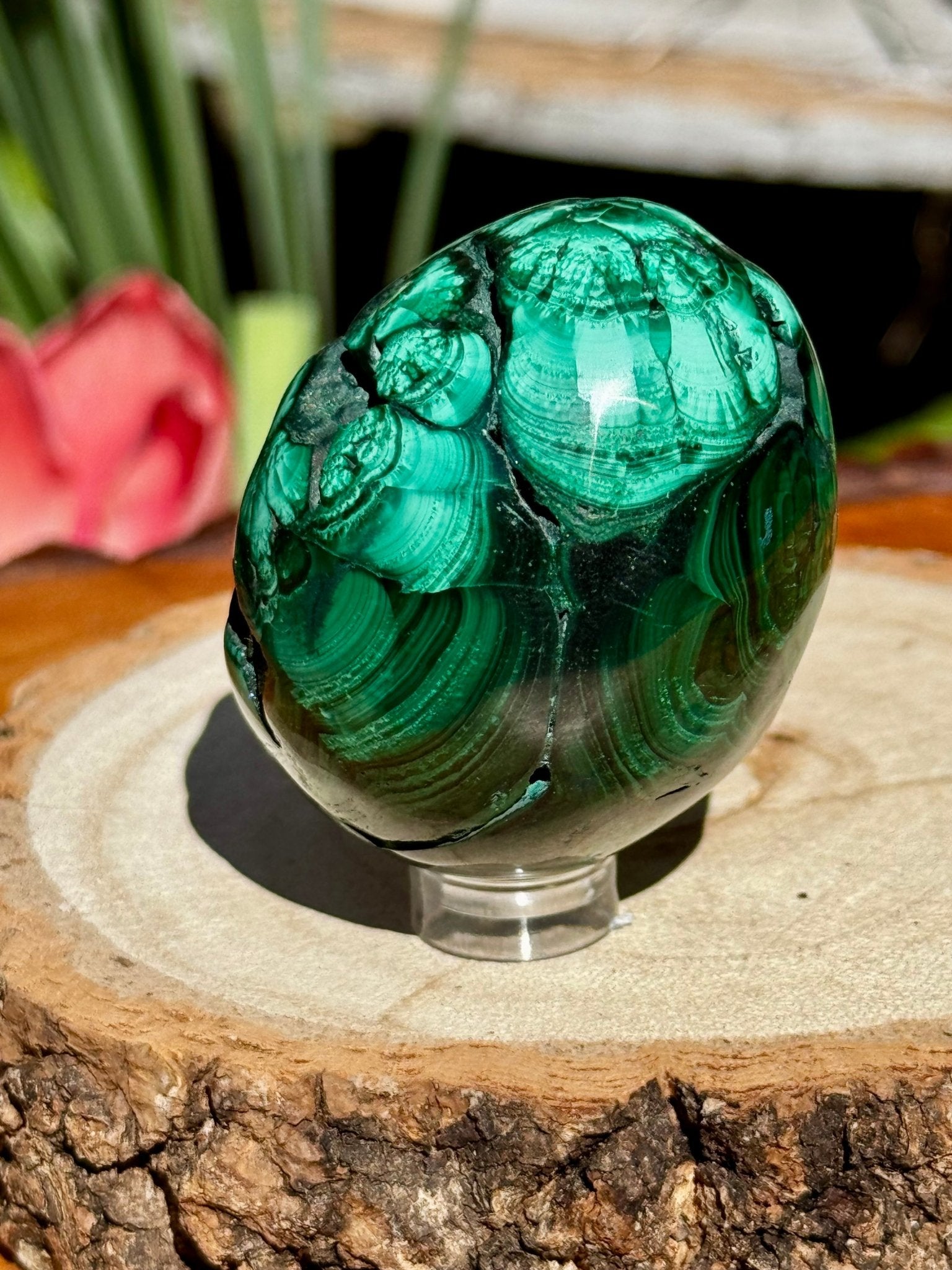 Malachite egg | 178g - The Crystal Valley