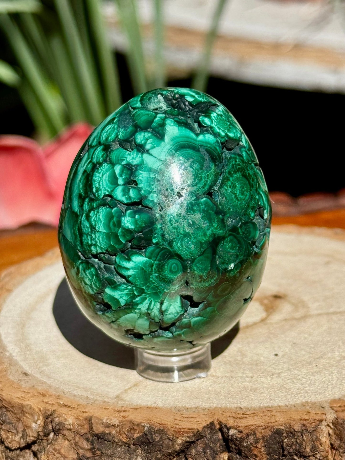 Malachite egg | 178g - The Crystal Valley