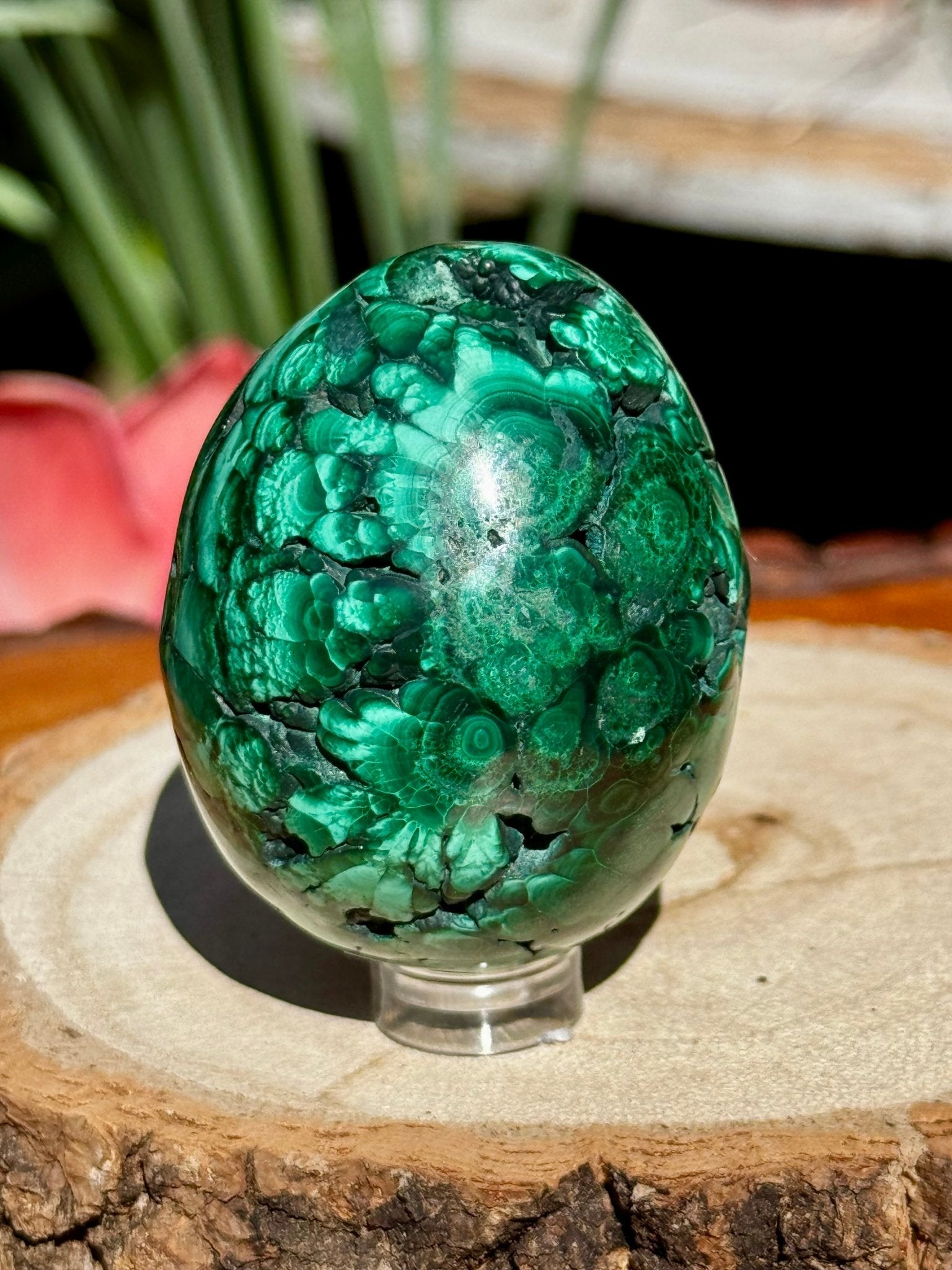 Malachite egg | 178g - The Crystal Valley