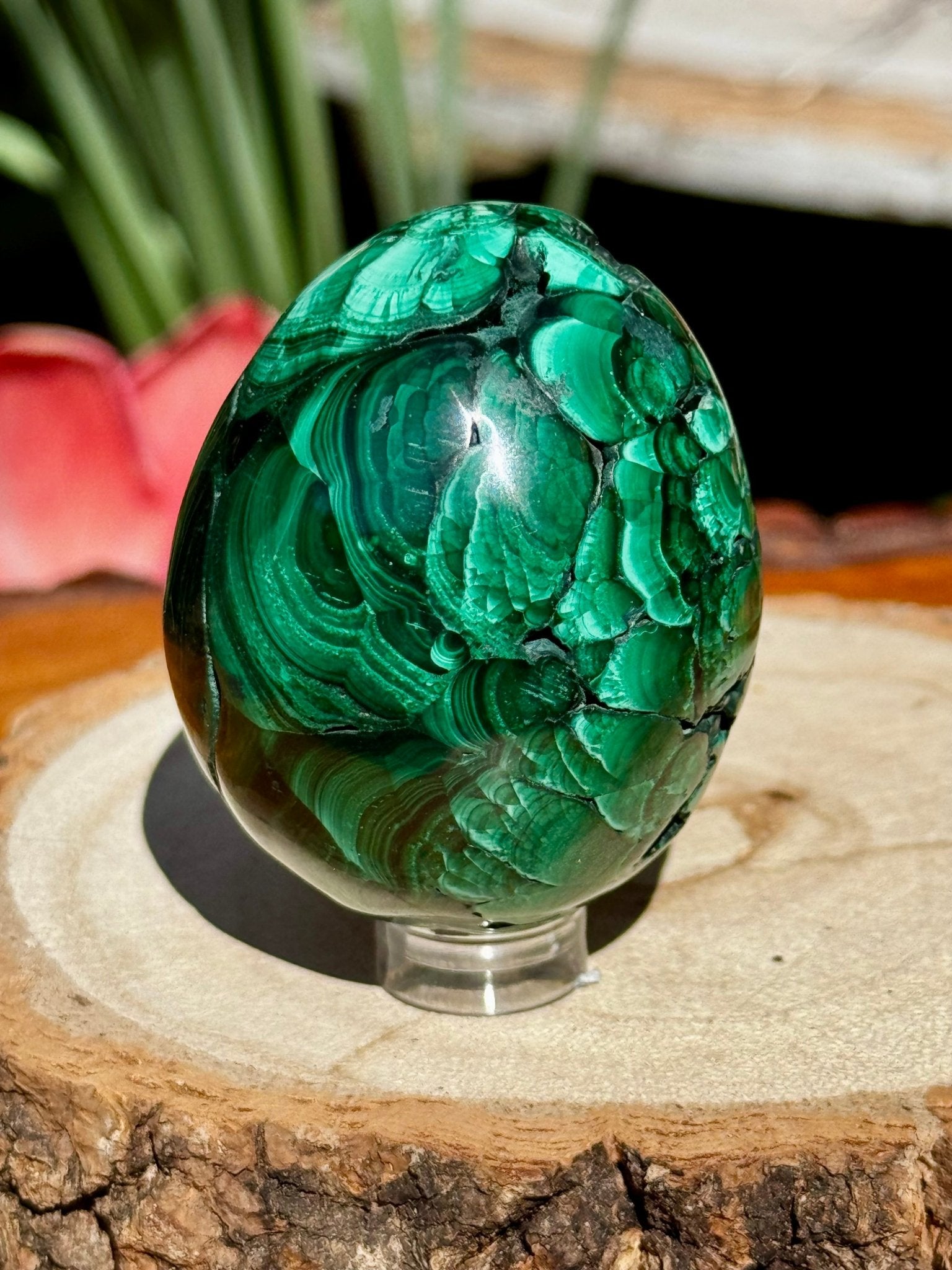 Malachite egg | 178g - The Crystal Valley