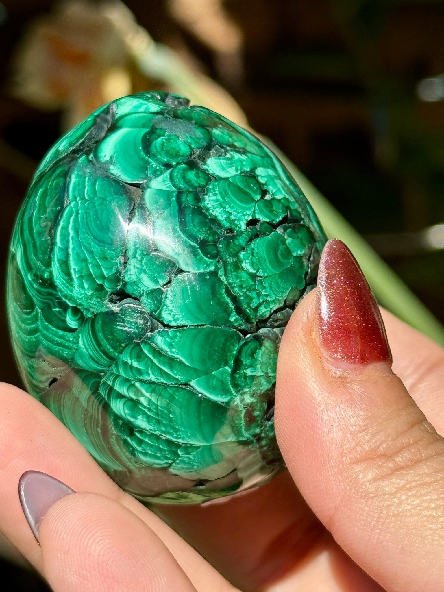Malachite egg | 178g - The Crystal Valley