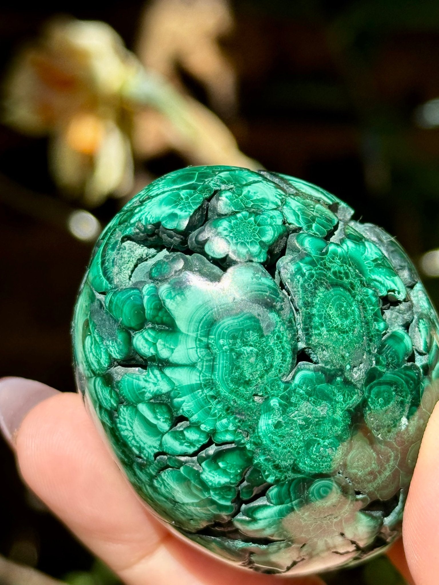 Malachite egg | 178g - The Crystal Valley