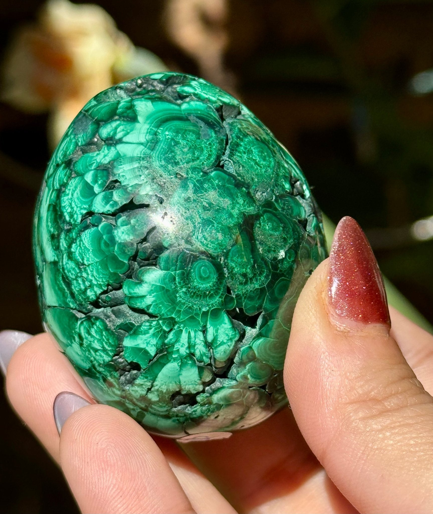 Malachite egg | 178g - The Crystal Valley