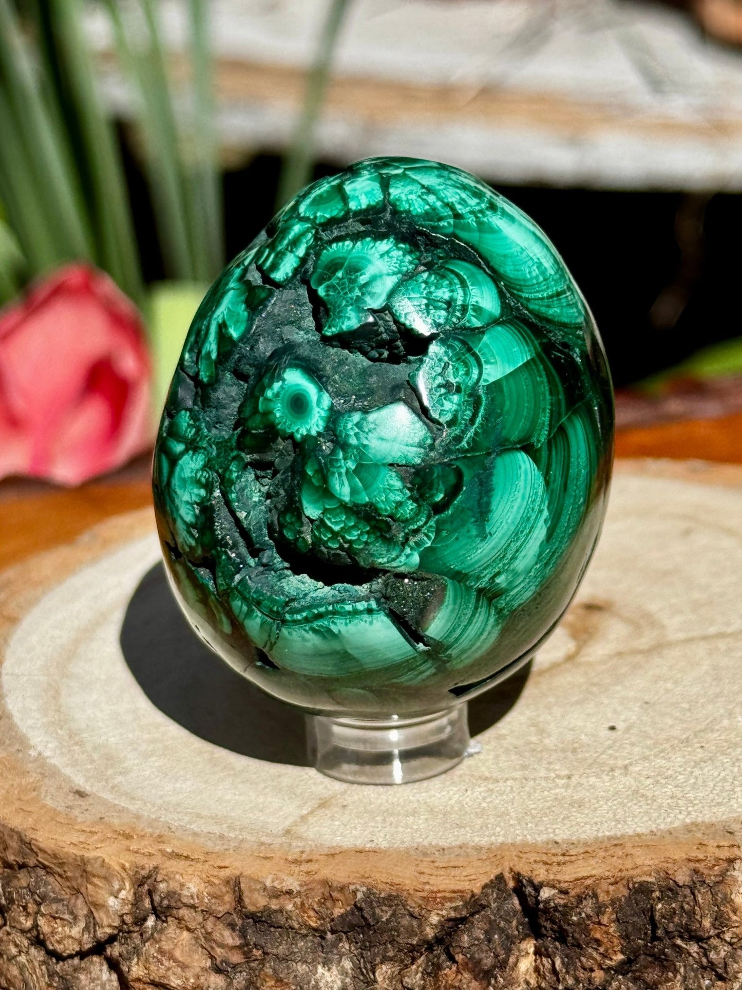 Malachite egg | 178g - The Crystal Valley