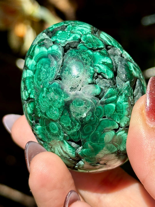 Malachite egg | 178g - The Crystal Valley
