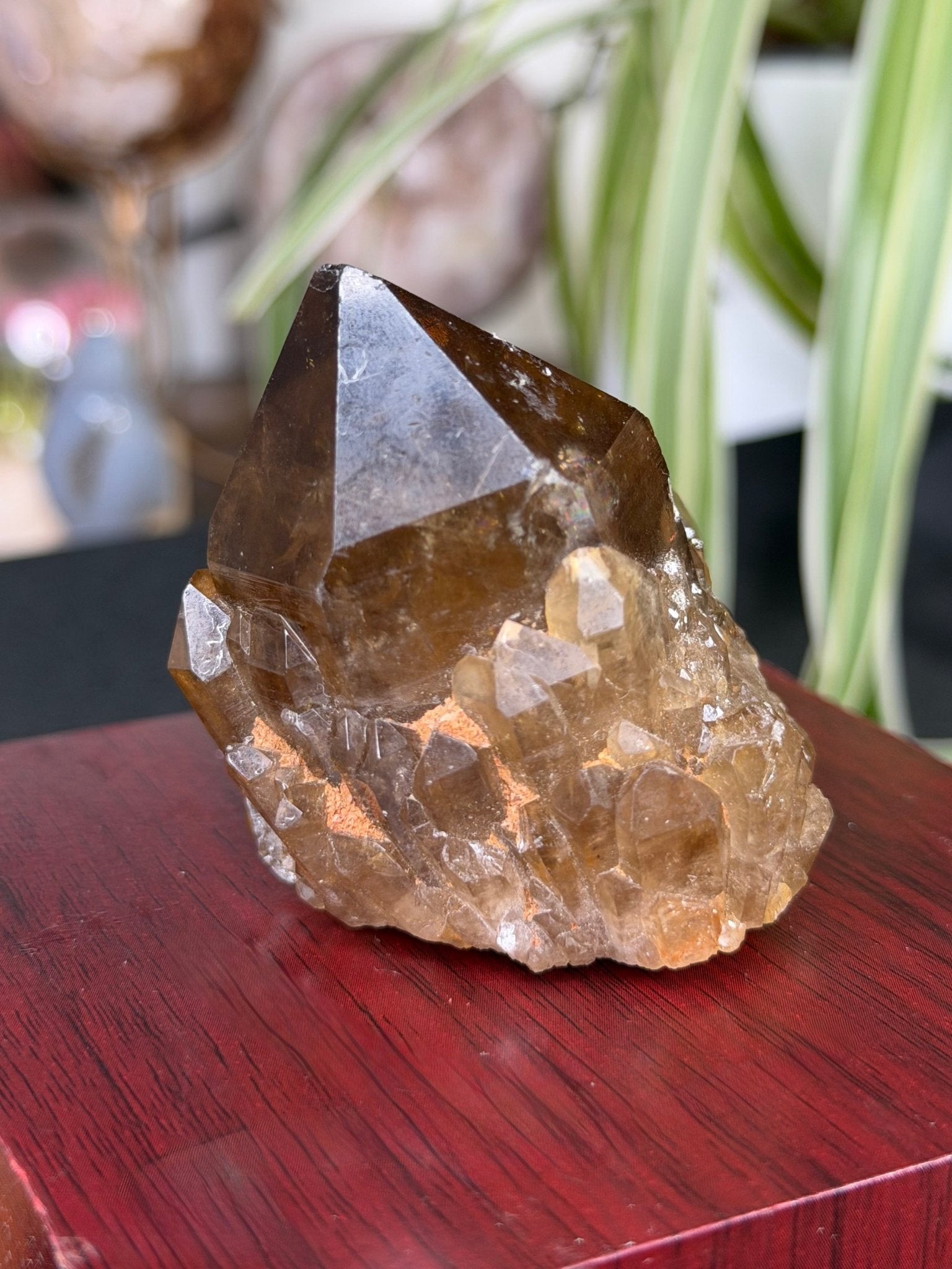 Natural Congo ('Kundalini) Citrine | 129g - The Crystal Valley