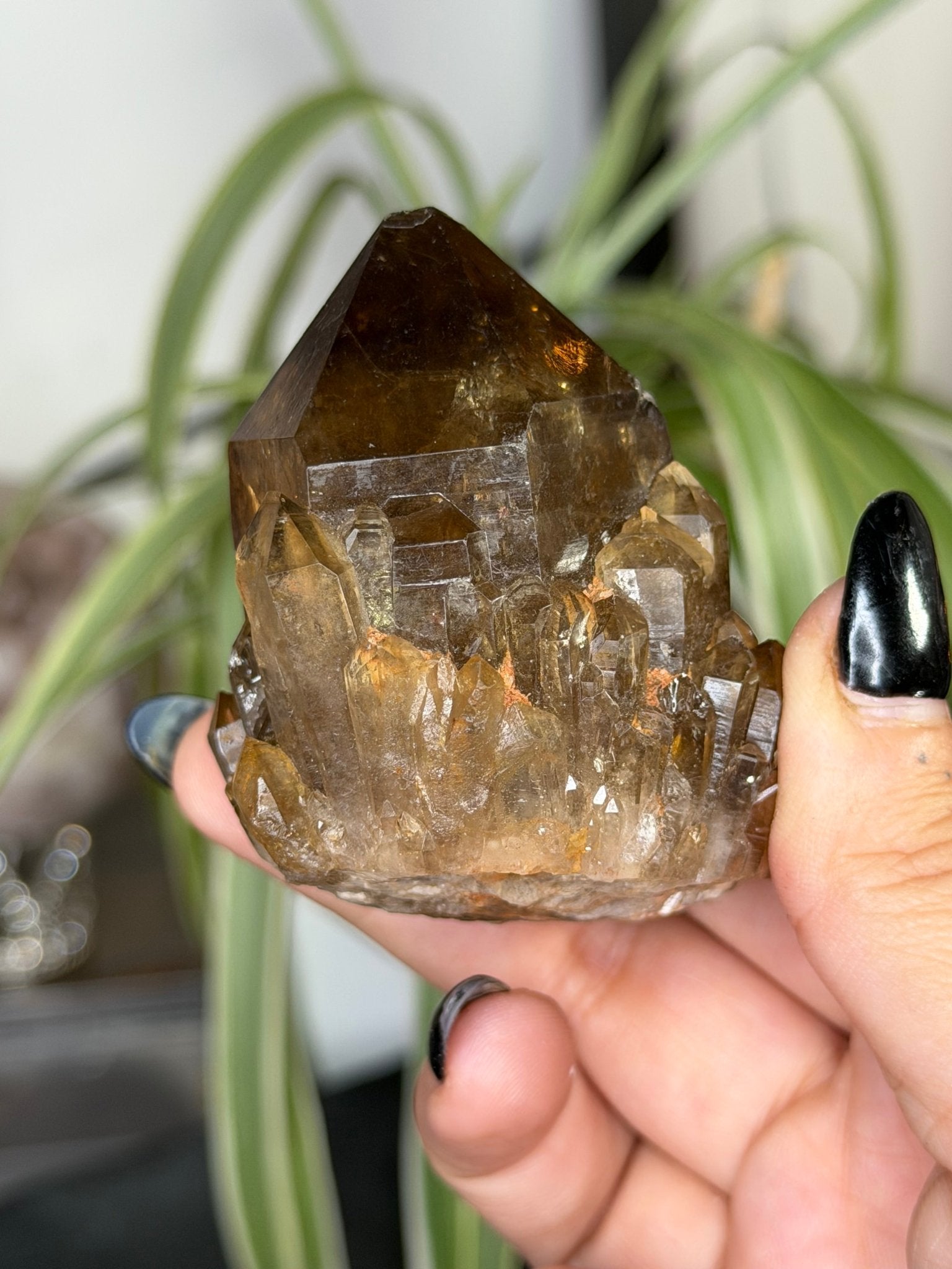 Natural Congo ('Kundalini) Citrine | 129g - The Crystal Valley