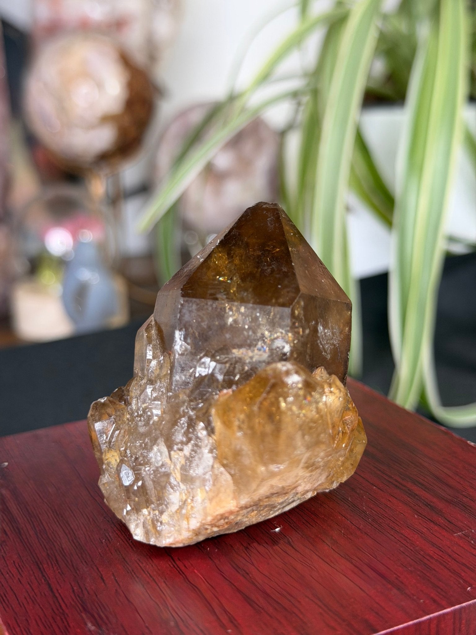 Natural Congo ('Kundalini) Citrine | 129g - The Crystal Valley