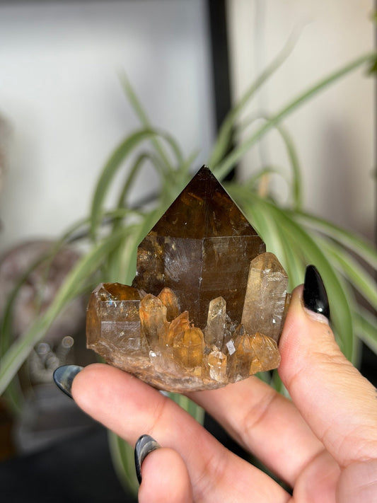 Natural Congo ('Kundalini) Citrine | 129g - The Crystal Valley