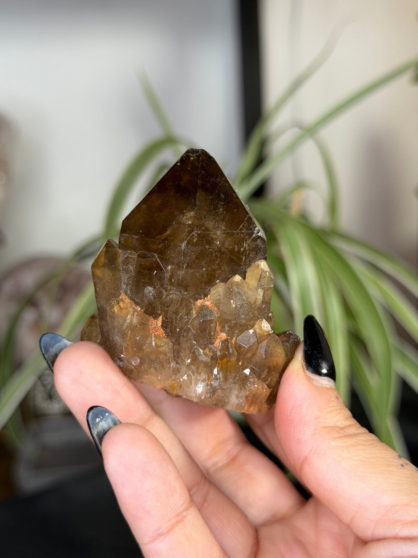 Natural Congo ('Kundalini) Citrine | 129g - The Crystal Valley