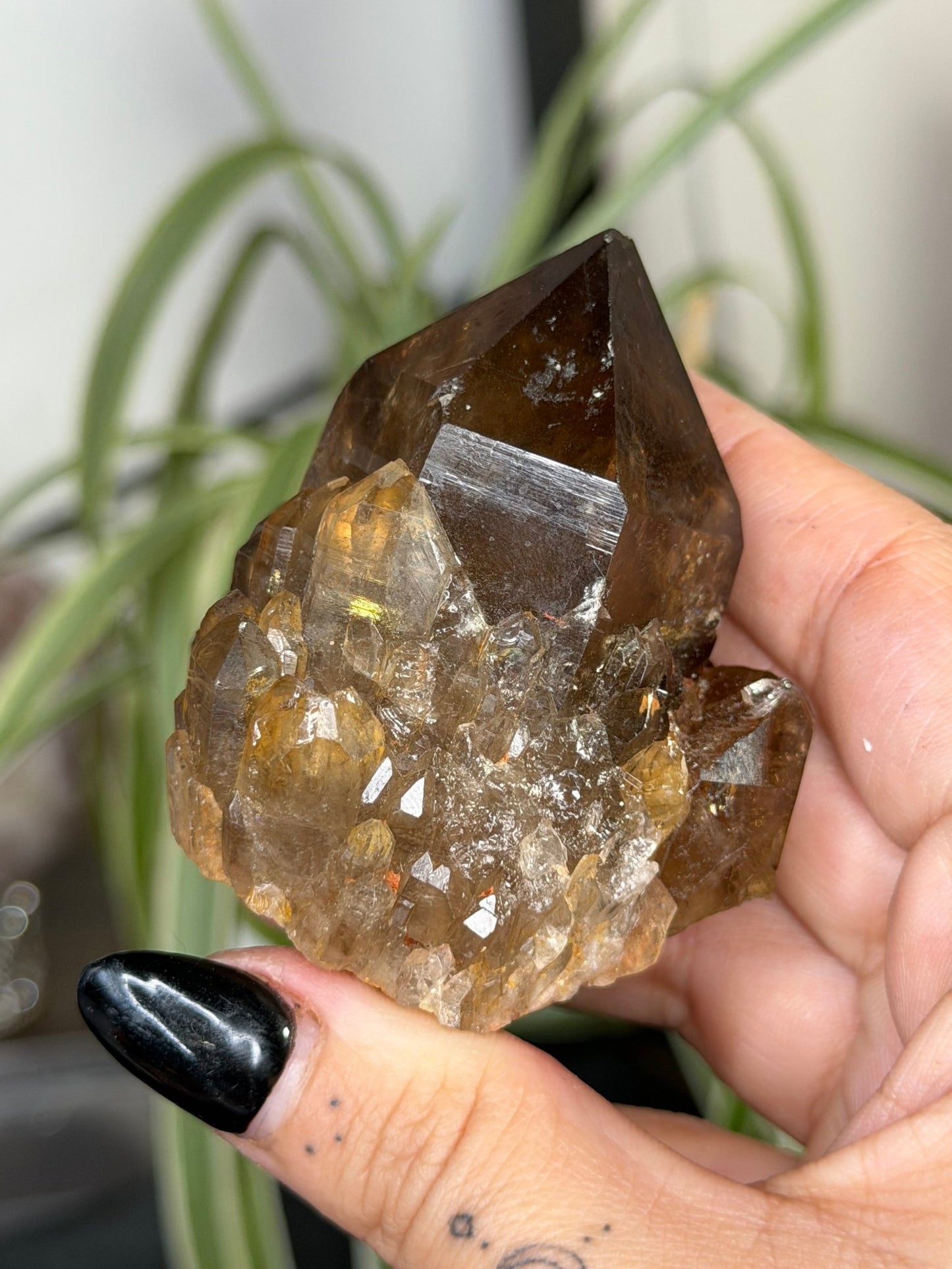 Natural Congo ('Kundalini) Citrine | 129g - The Crystal Valley