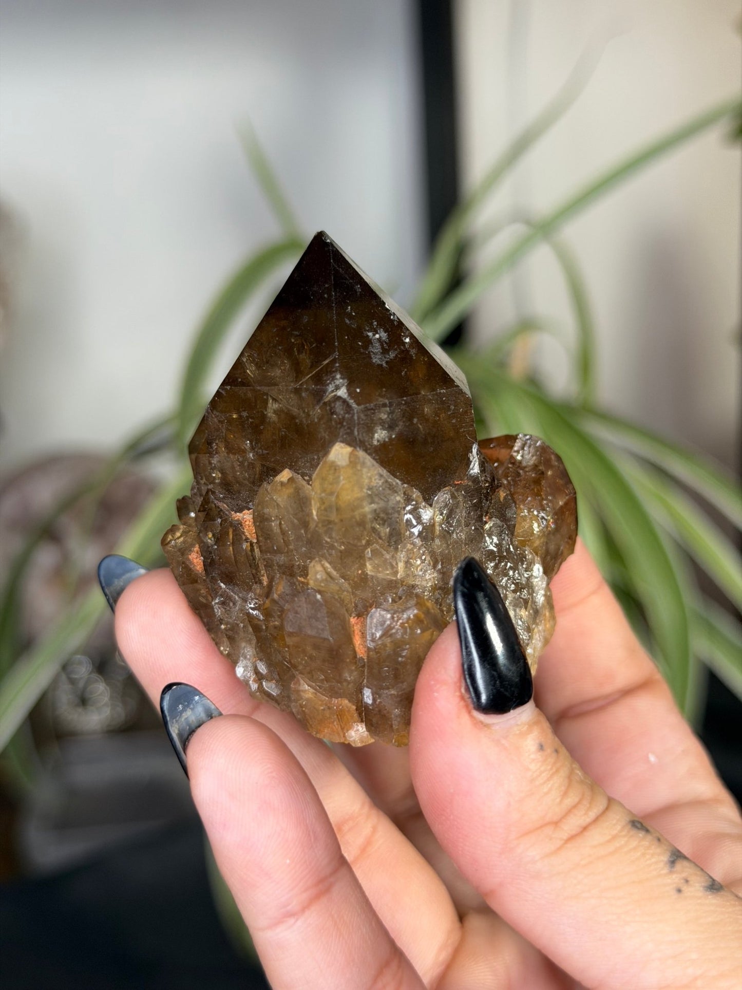 Natural Congo ('Kundalini) Citrine | 129g - The Crystal Valley