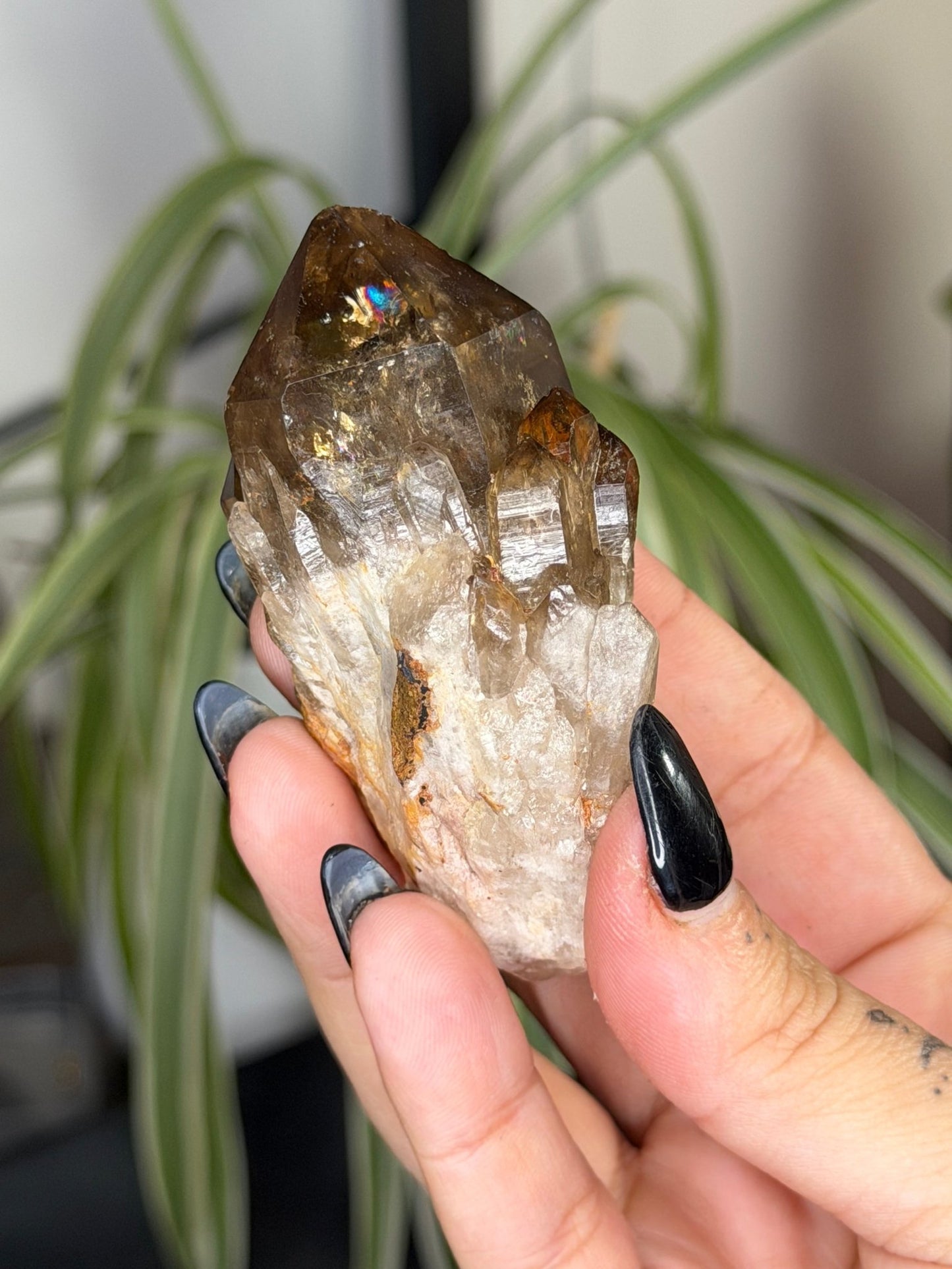 Natural Congo ('Kundalini) Citrine | 86g - The Crystal Valley