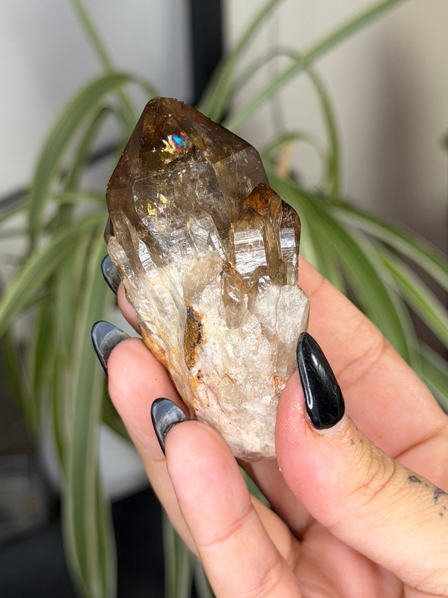 Natural Congo ('Kundalini) Citrine | 86g - The Crystal Valley