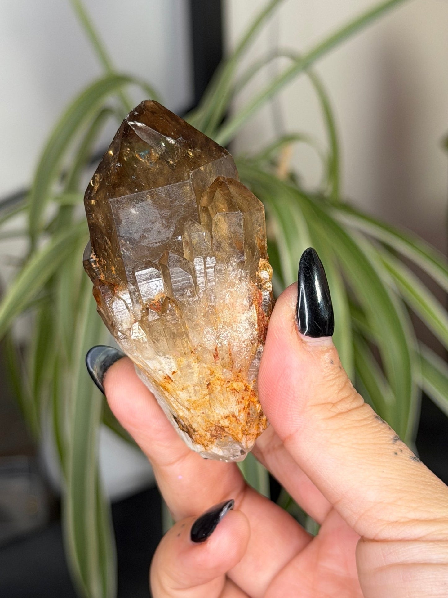 Natural Congo ('Kundalini) Citrine | 86g - The Crystal Valley