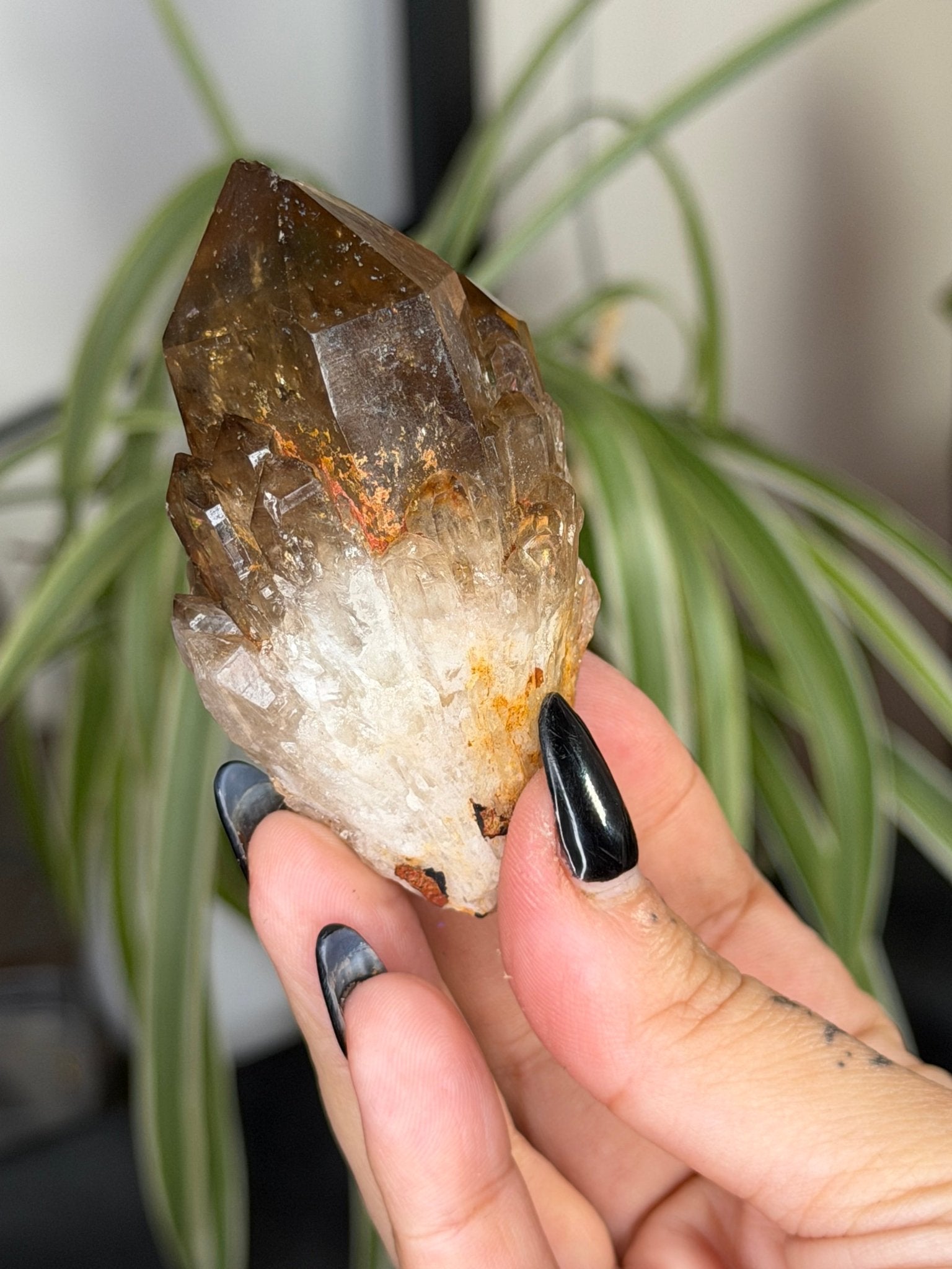 Natural Congo ('Kundalini) Citrine | 86g - The Crystal Valley