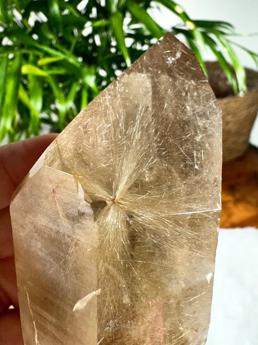 Natural Golden Rutile Point | 185g - The Crystal Valley