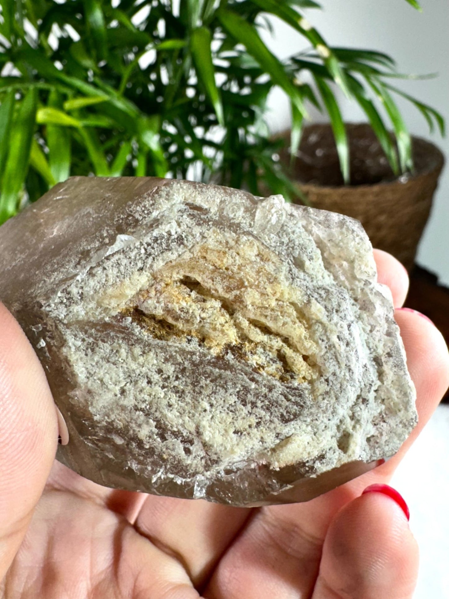 Natural Golden Rutile Point | 185g - The Crystal Valley