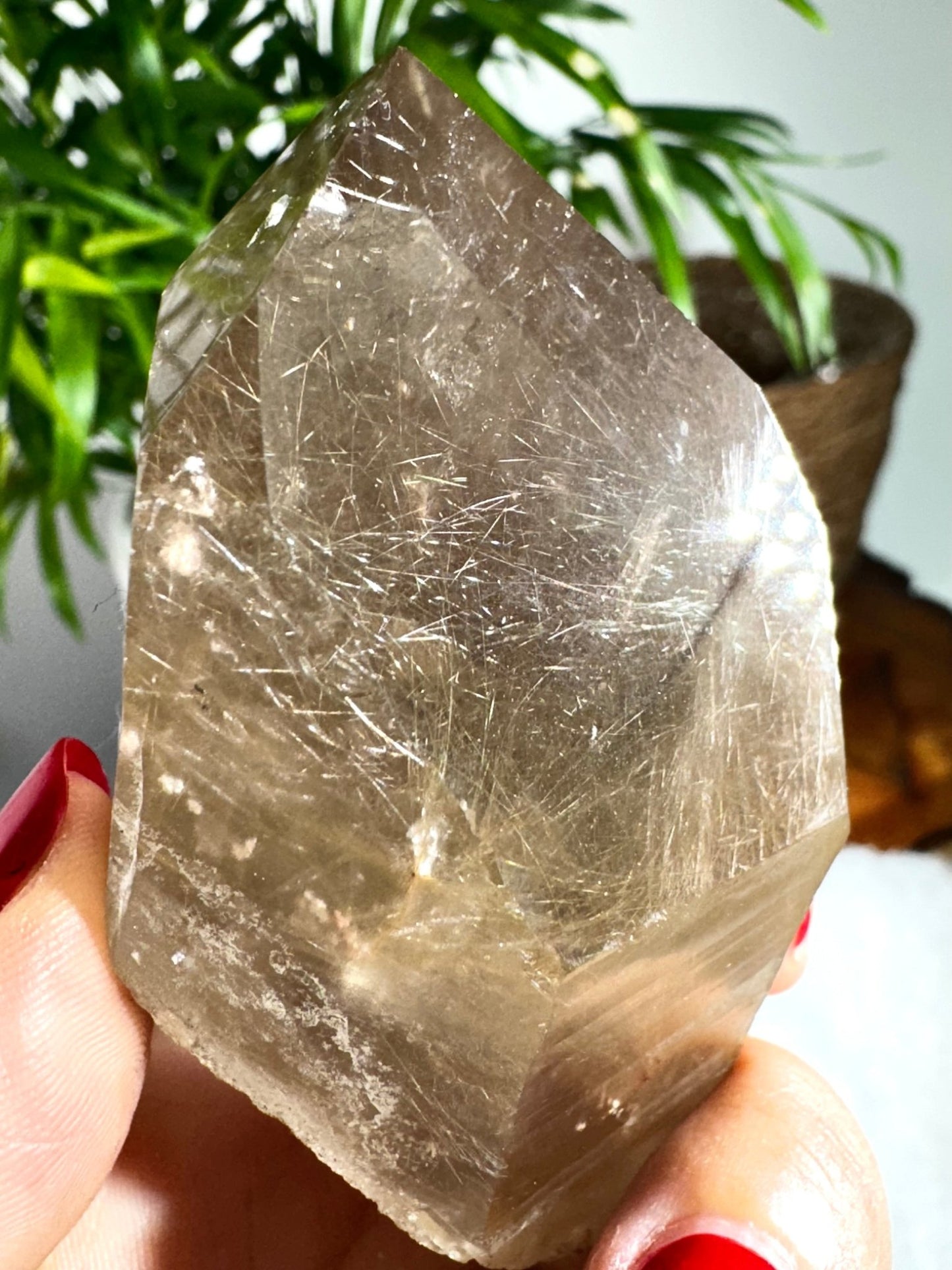 Natural Golden Rutile Point | 185g - The Crystal Valley