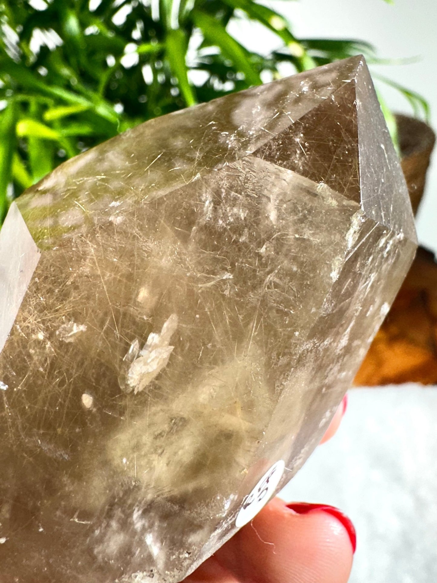 Natural Golden Rutile Point | 185g - The Crystal Valley