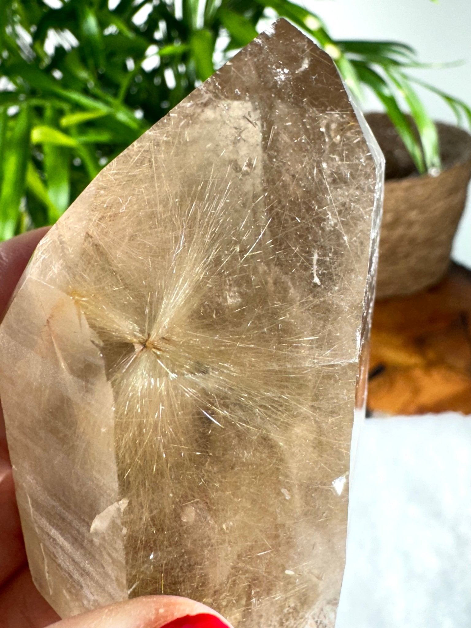 Natural Golden Rutile Point | 185g - The Crystal Valley