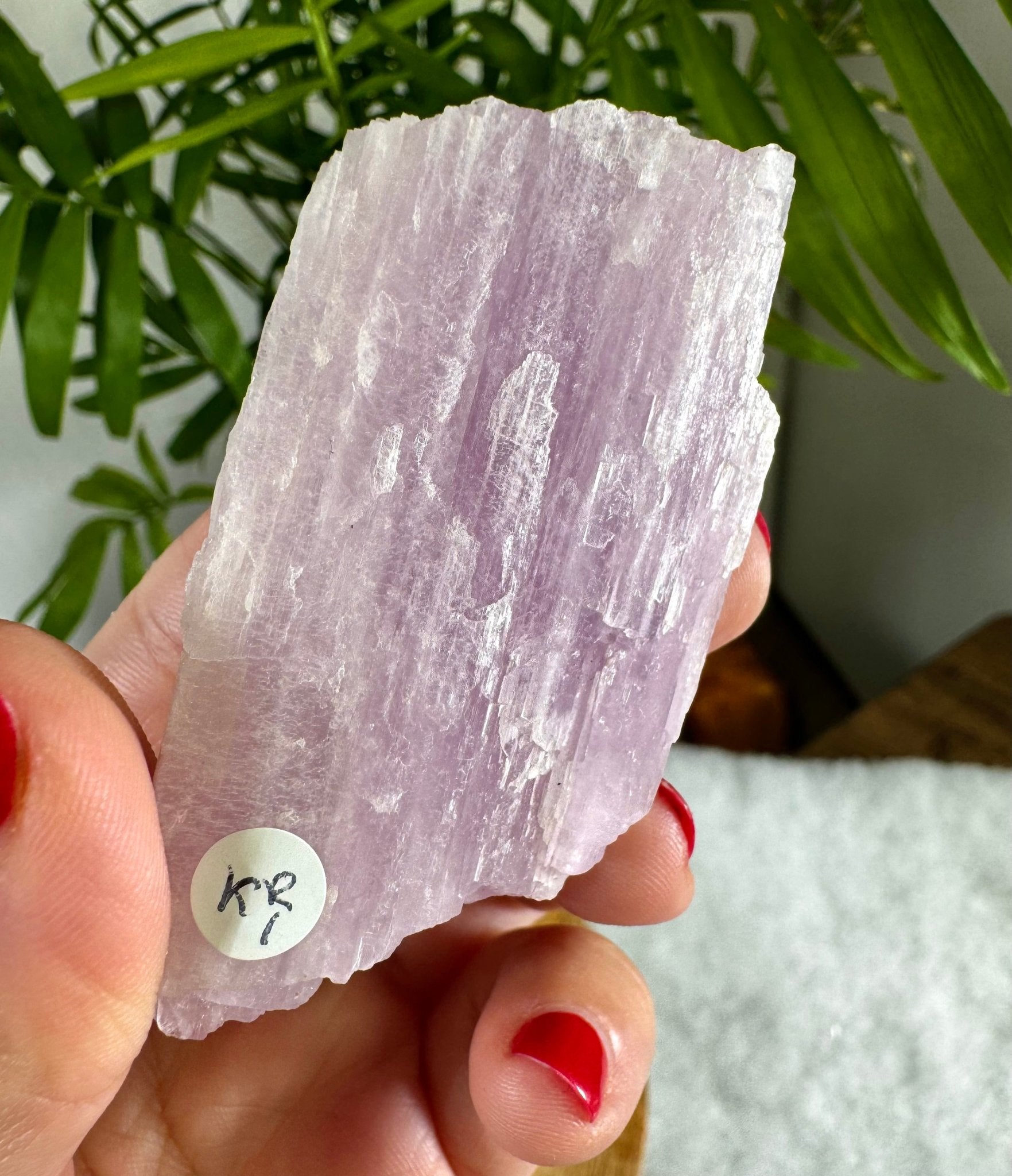 Natural Kunzite Specimen | 61g - The Crystal Valley