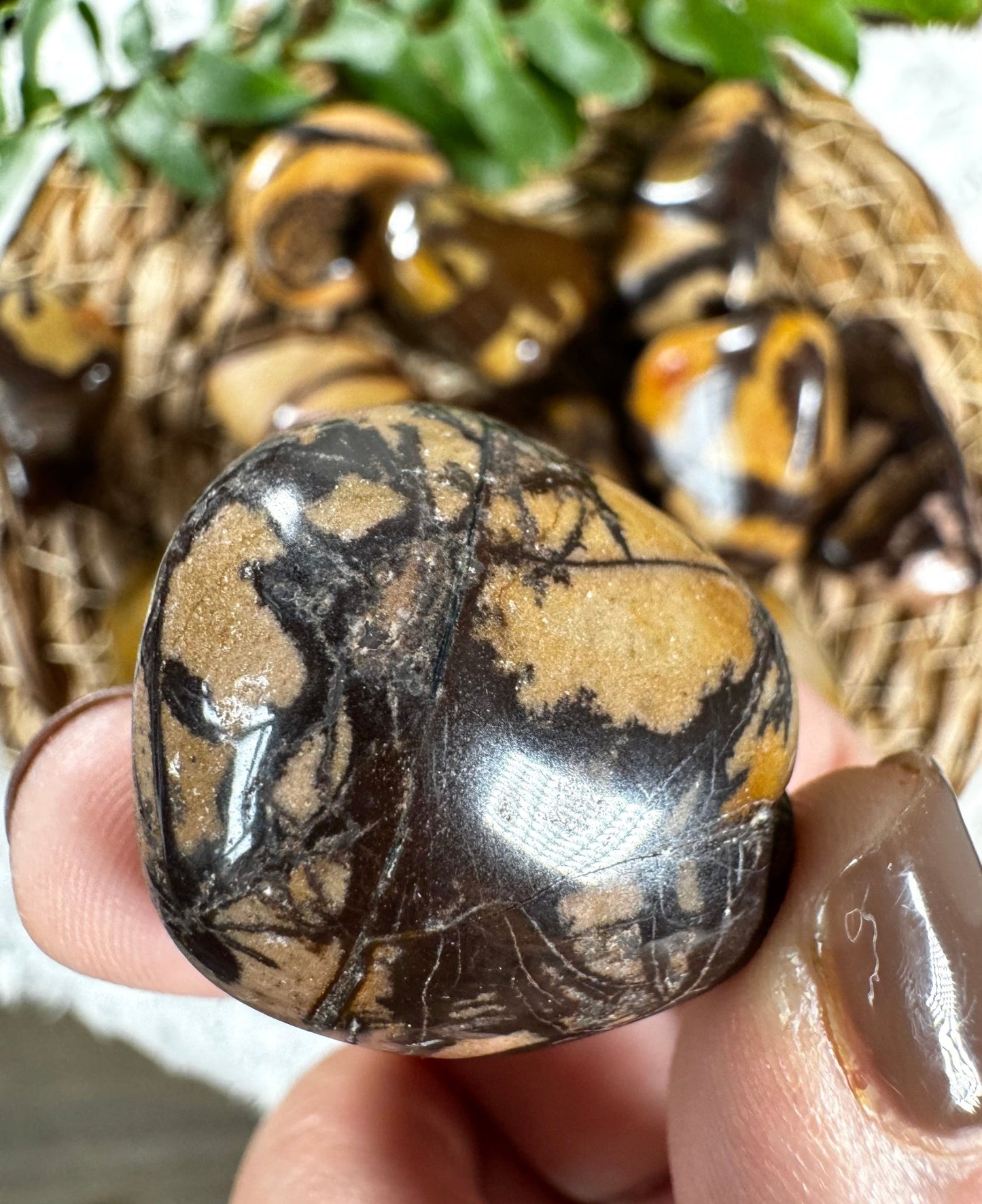 Nguni Jasper Tumbles | Medium / Large Sizes - Intuitively Chosen - The Crystal Valley