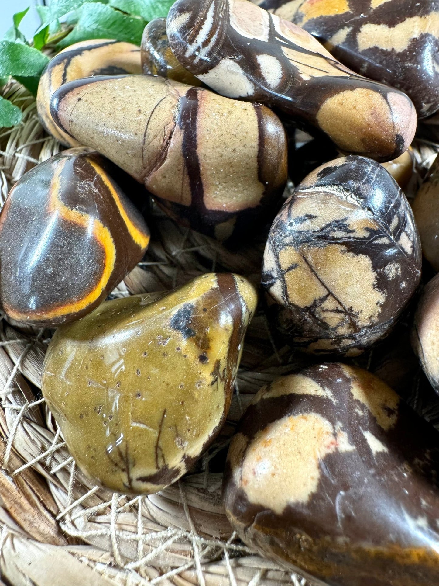 Nguni Jasper Tumbles | Medium / Large Sizes - Intuitively Chosen - The Crystal Valley