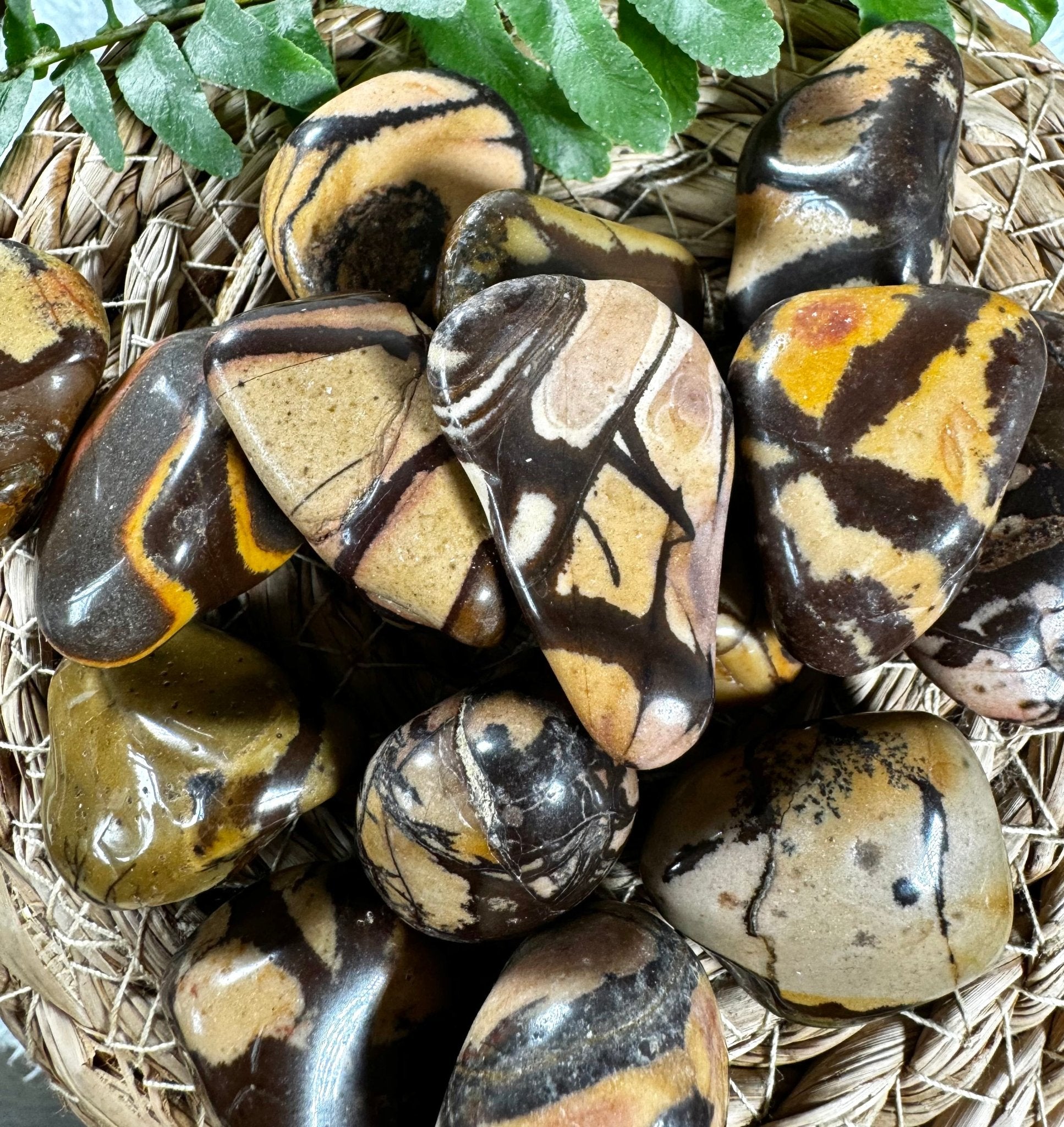 Nguni Jasper Tumbles | Medium / Large Sizes - Intuitively Chosen - The Crystal Valley