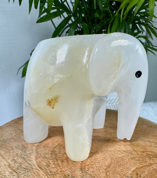 Onyx Elephant Candle Holder |364g - The Crystal Valley