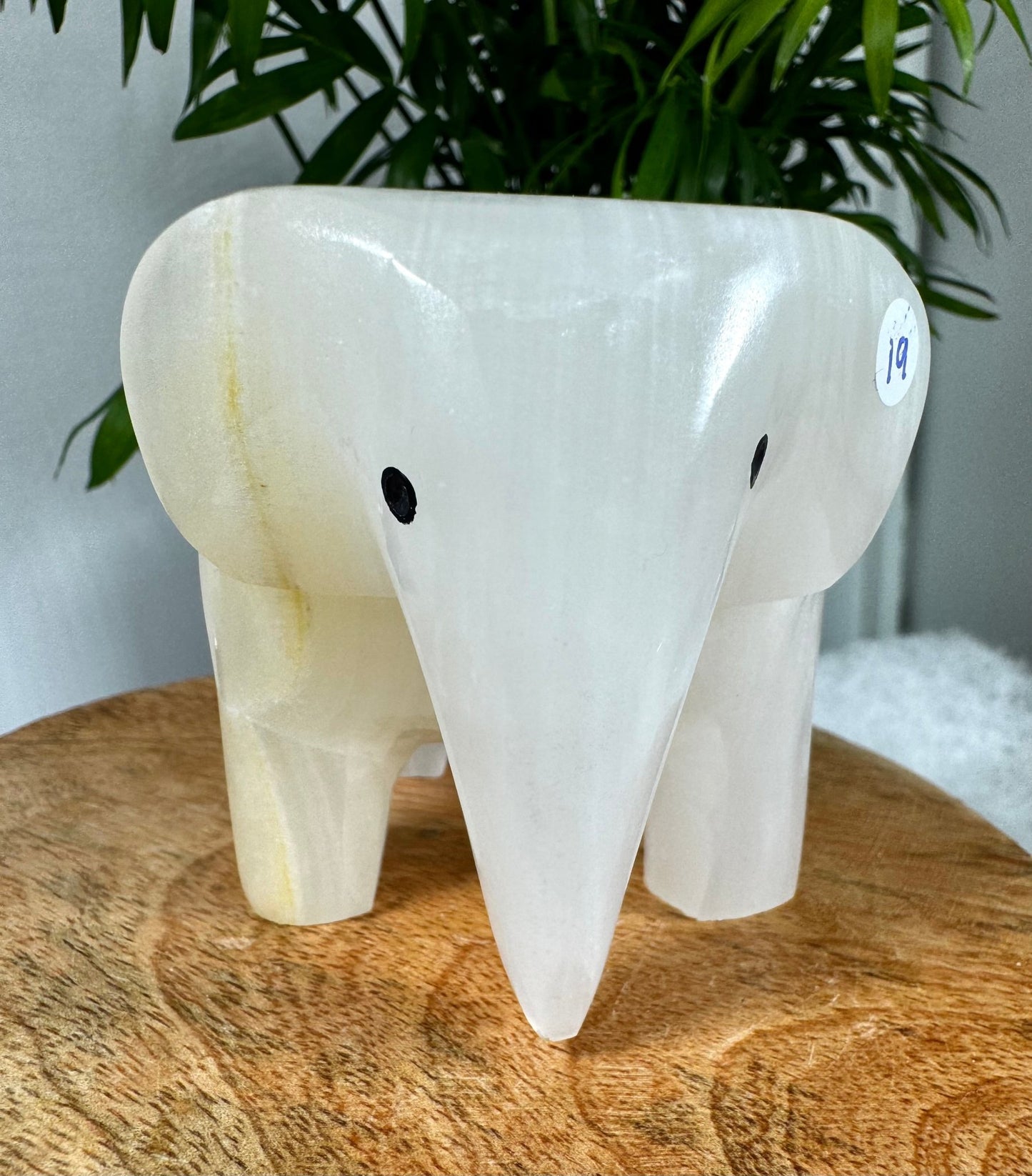 Onyx Elephant Candle Holder |364g - The Crystal Valley