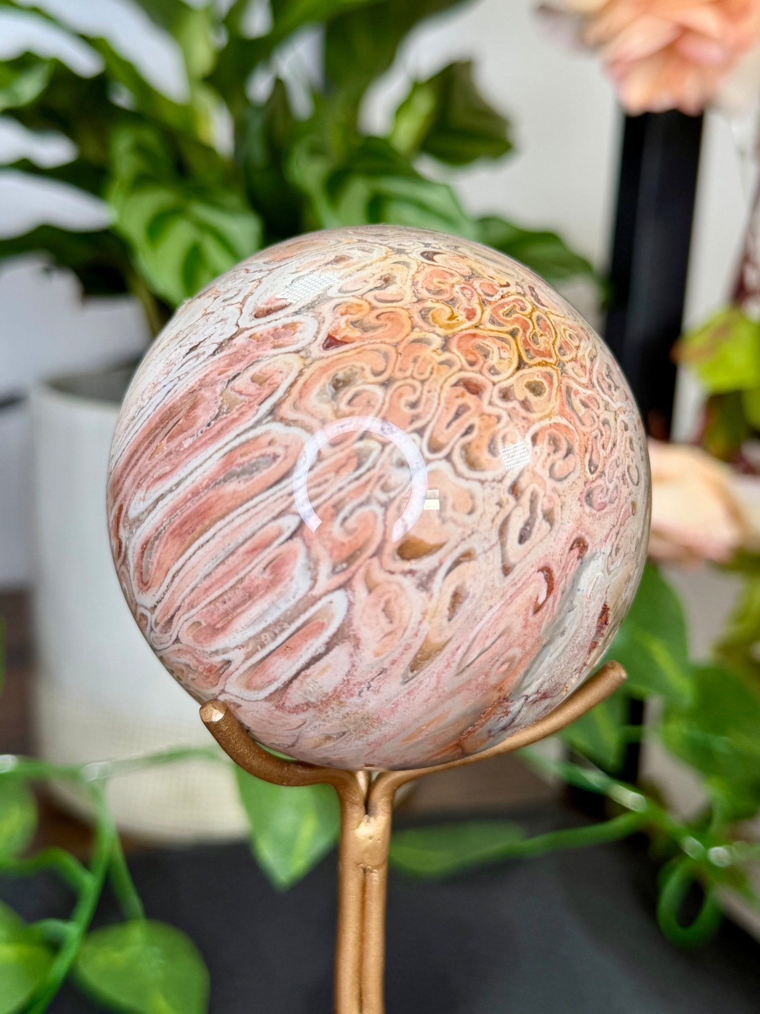 Petrified Wood Sphere | 478g - The Crystal Valley