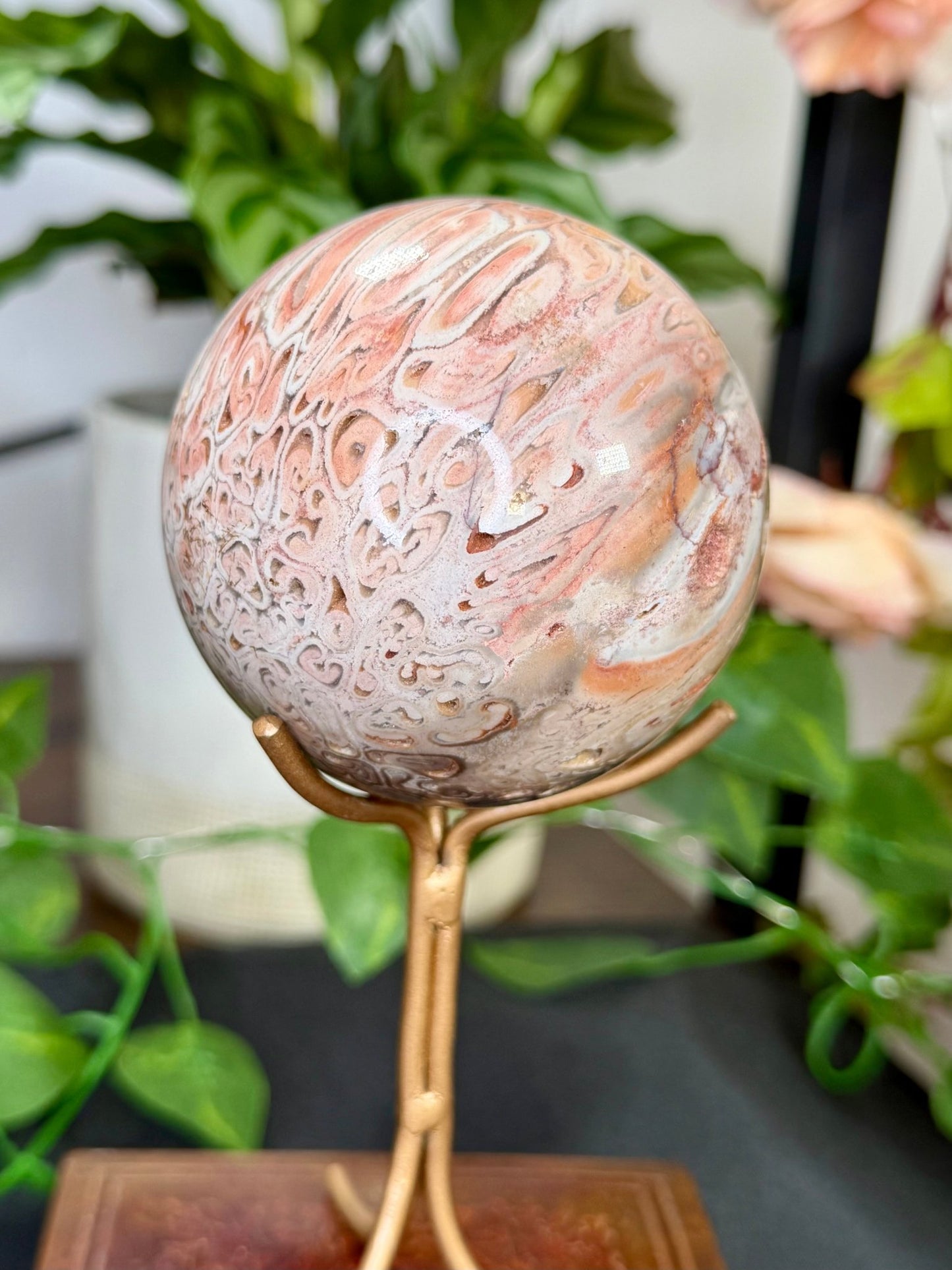 Petrified Wood Sphere | 478g - The Crystal Valley