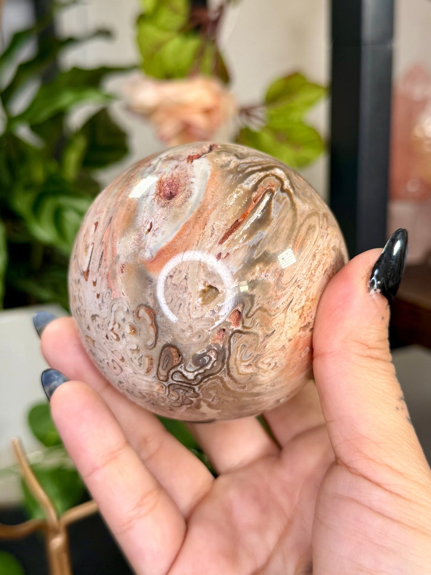 Petrified Wood Sphere | 478g - The Crystal Valley