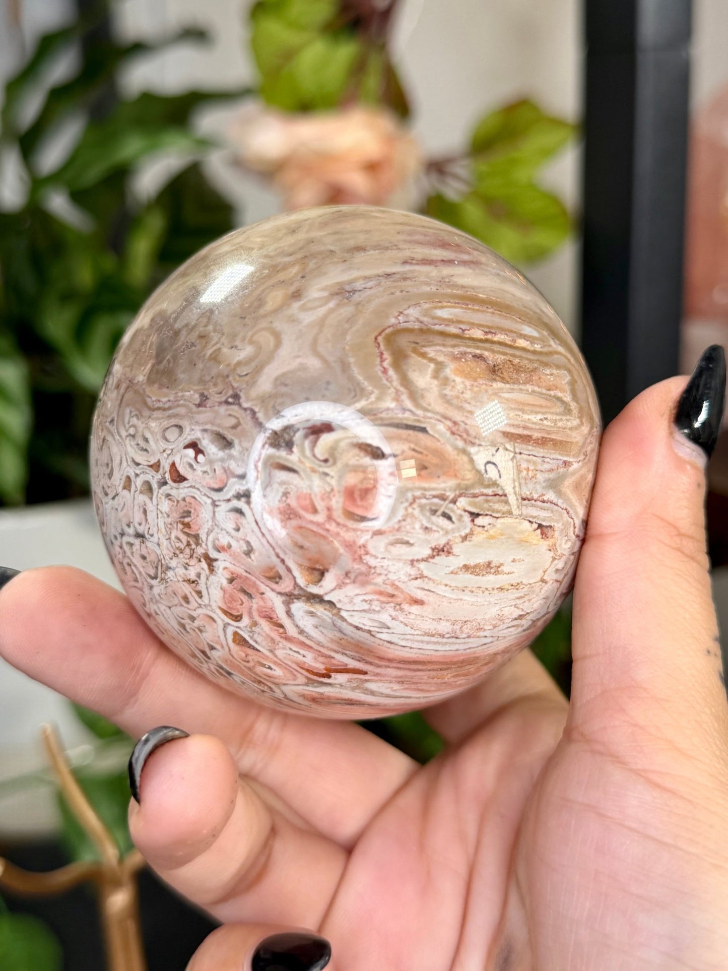 Petrified Wood Sphere | 478g - The Crystal Valley