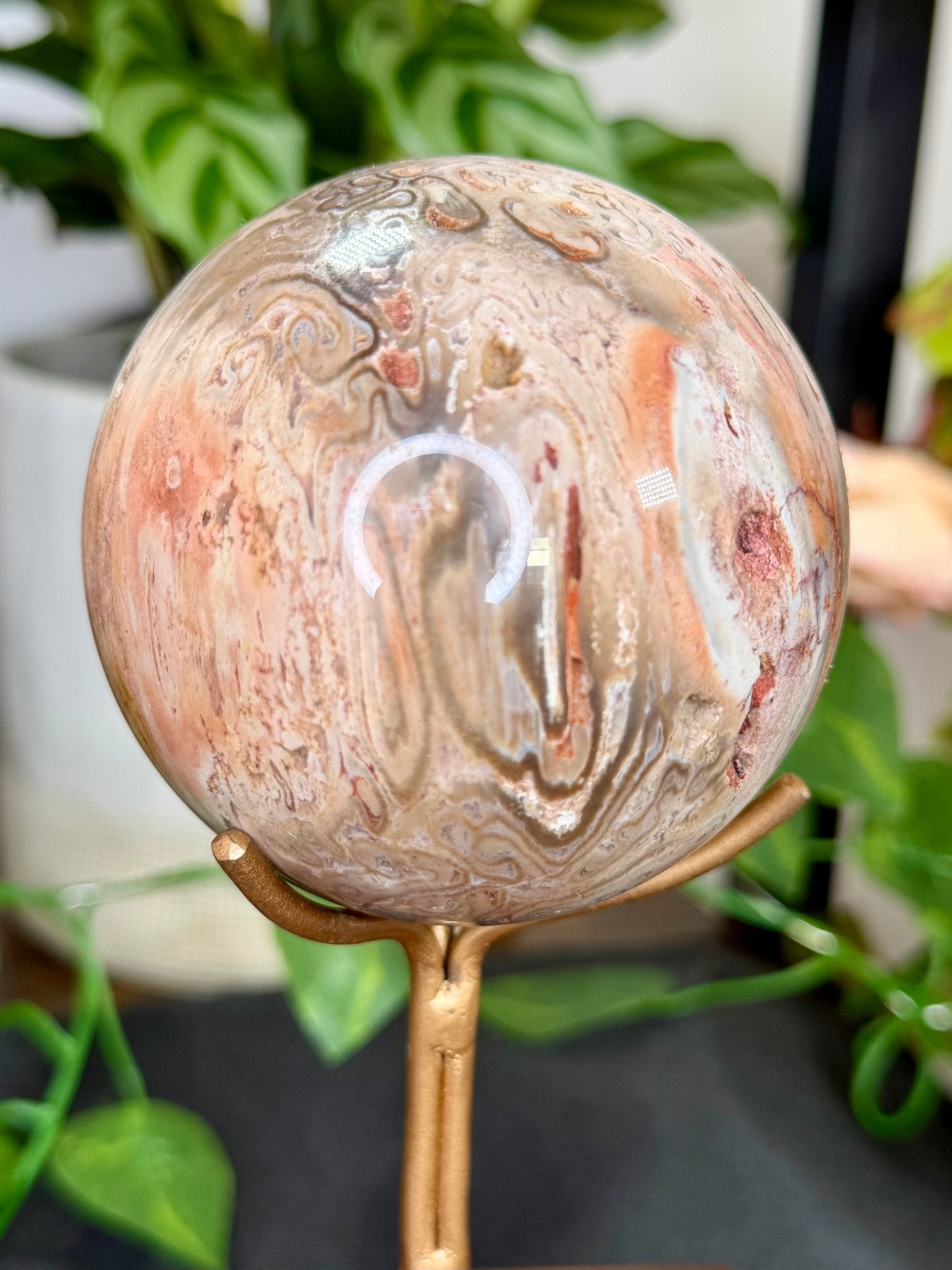 Petrified Wood Sphere | 478g - The Crystal Valley