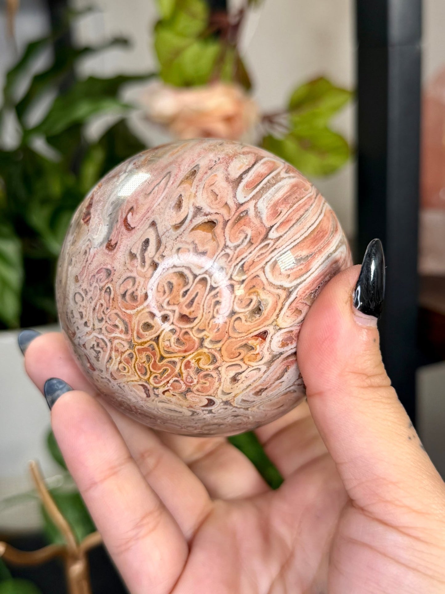 Petrified Wood Sphere | 478g - The Crystal Valley