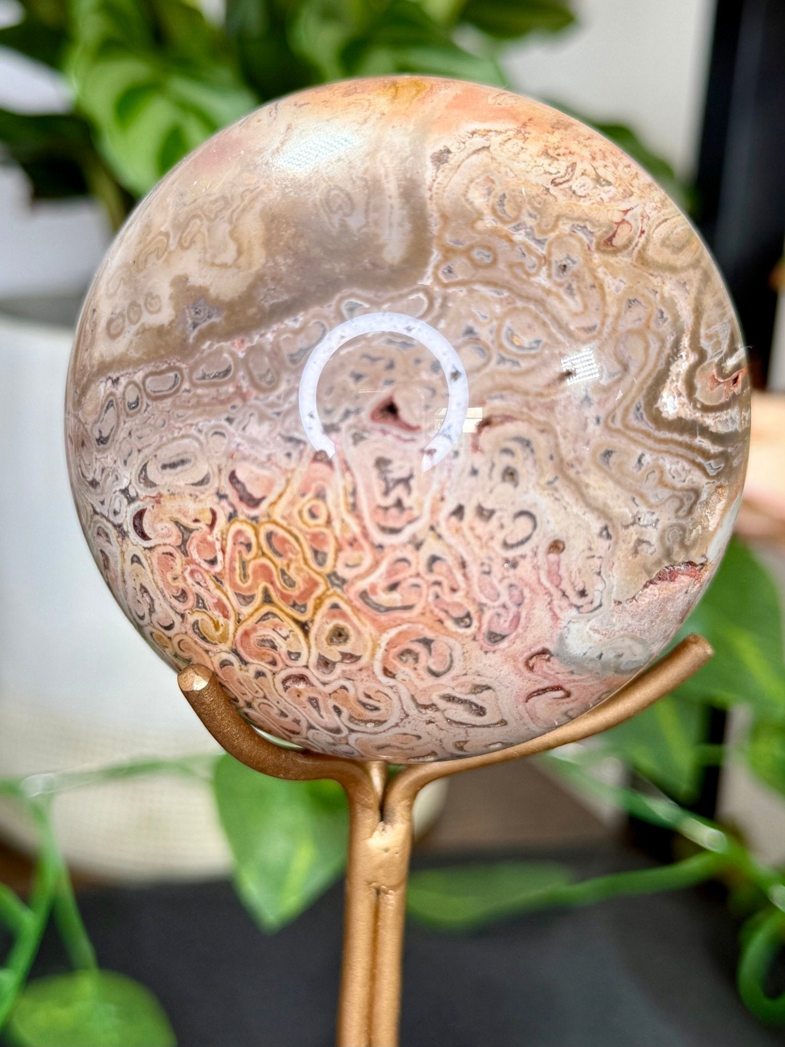 Petrified Wood Sphere | 478g - The Crystal Valley