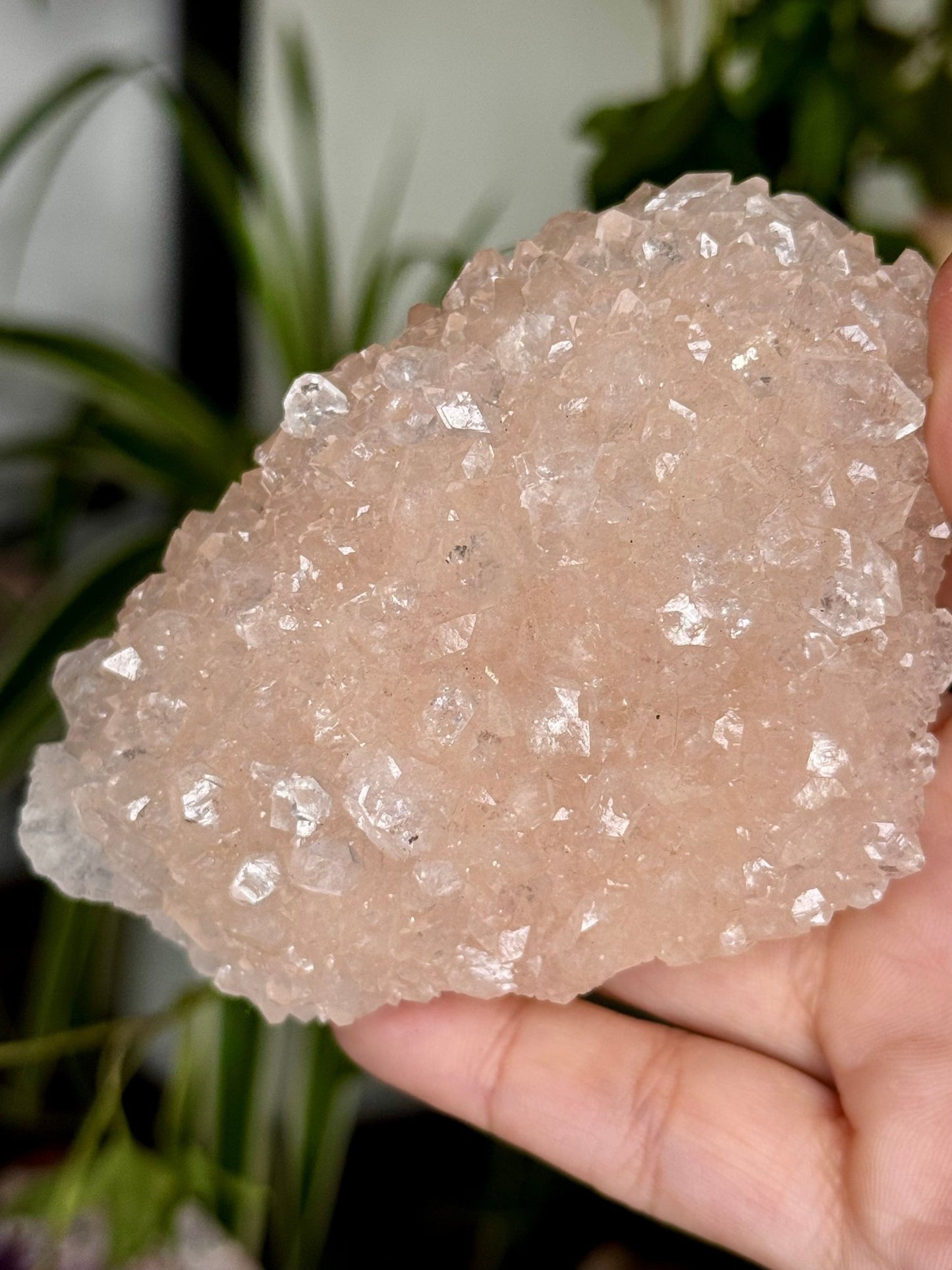Pink Apophyllite Cluster | 129g - The Crystal Valley