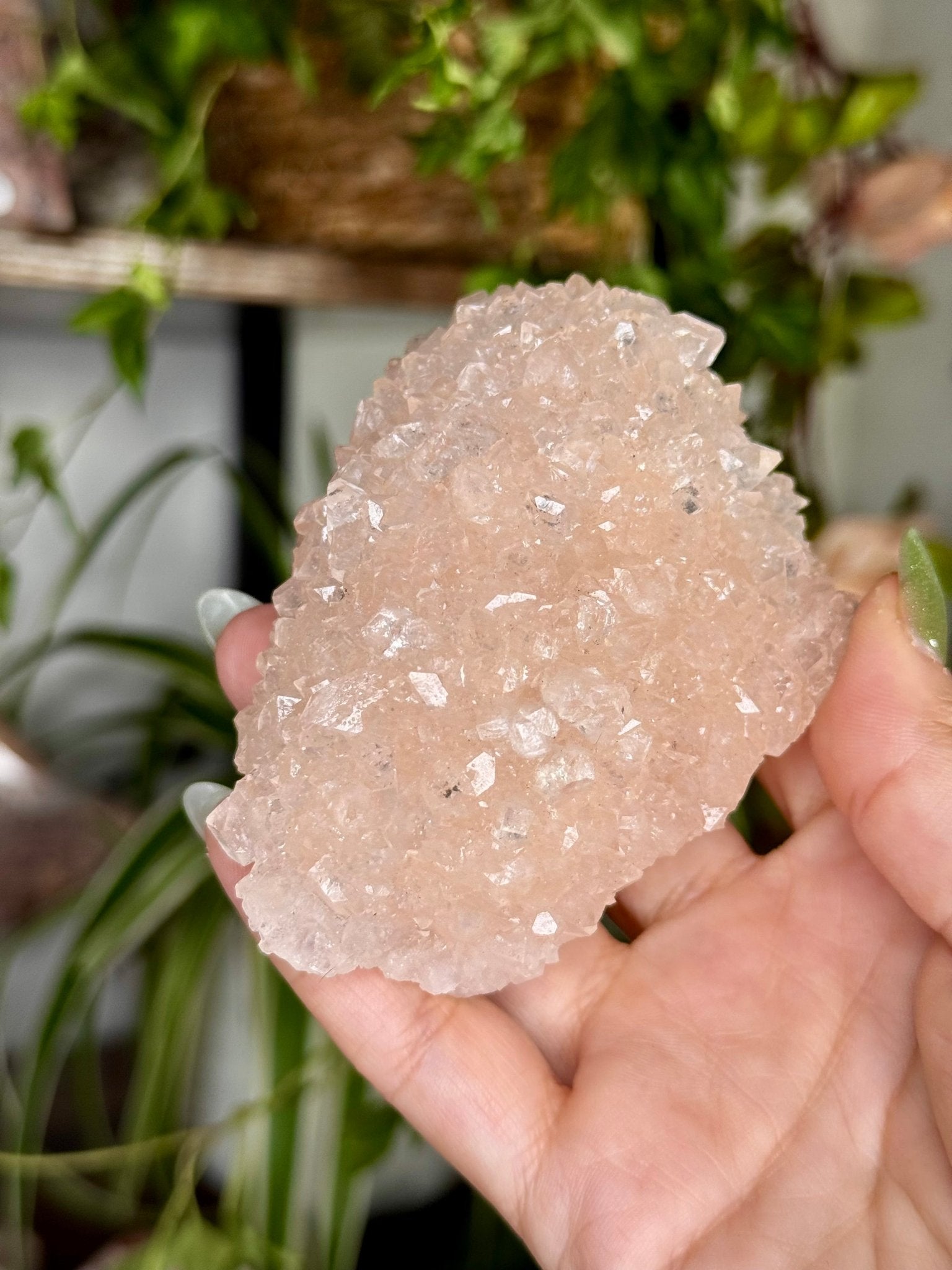 Pink Apophyllite Cluster | 129g - The Crystal Valley