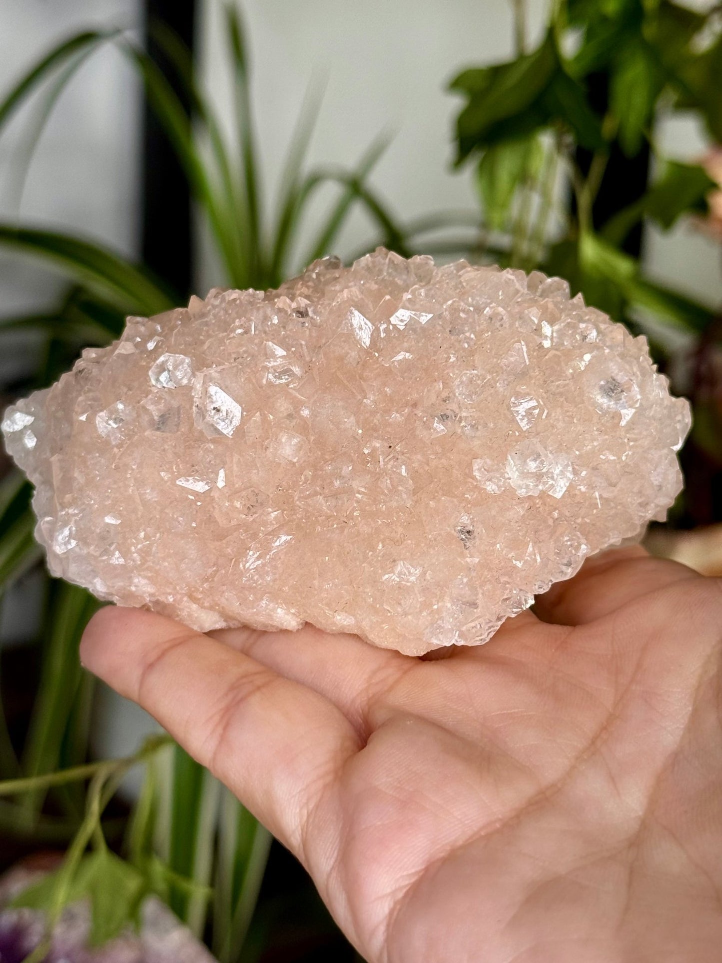Pink Apophyllite Cluster | 129g - The Crystal Valley