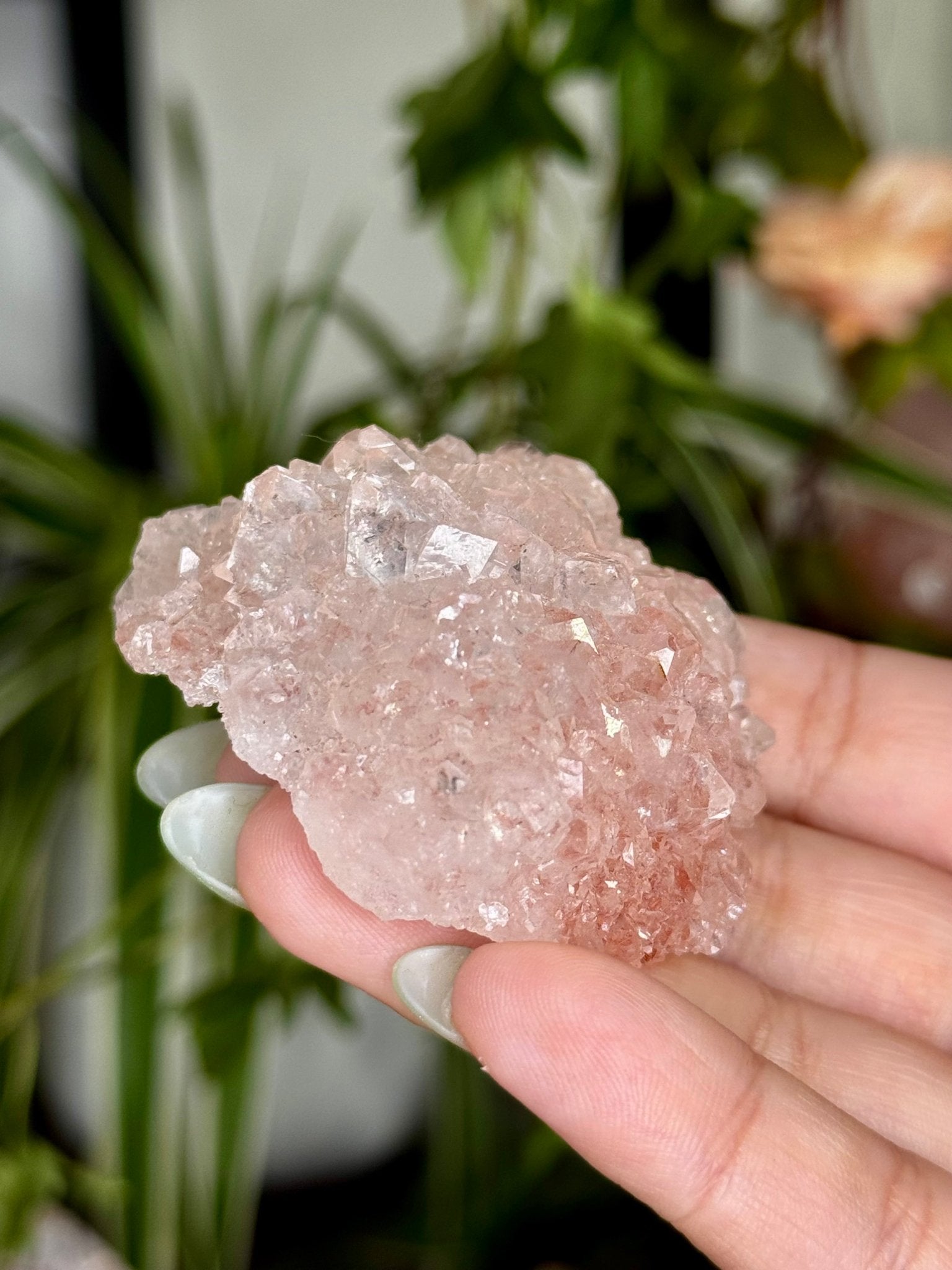Pink Apophyllite Cluster | 57g - The Crystal Valley