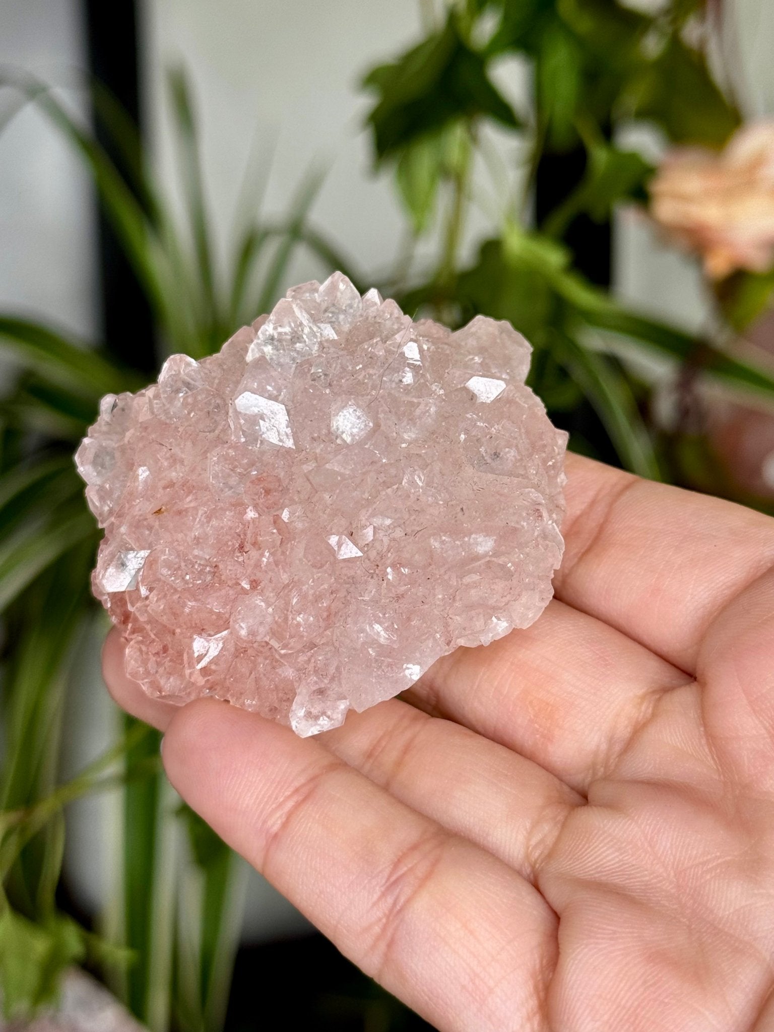 Pink Apophyllite Cluster | 57g - The Crystal Valley