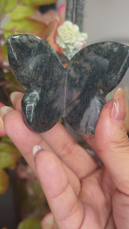 Moss Agate Butterfly |  69g