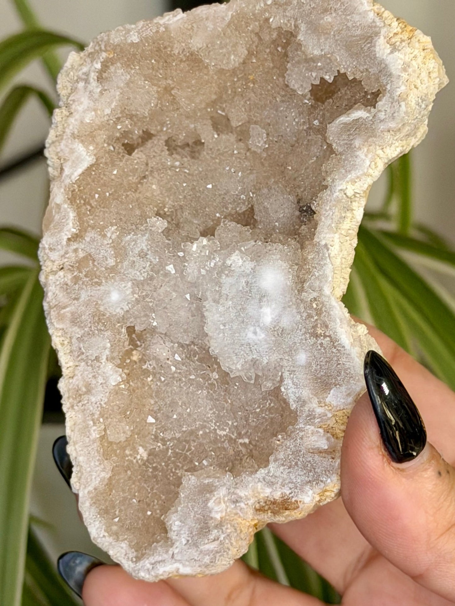 Quartz Geode | 144g - The Crystal Valley